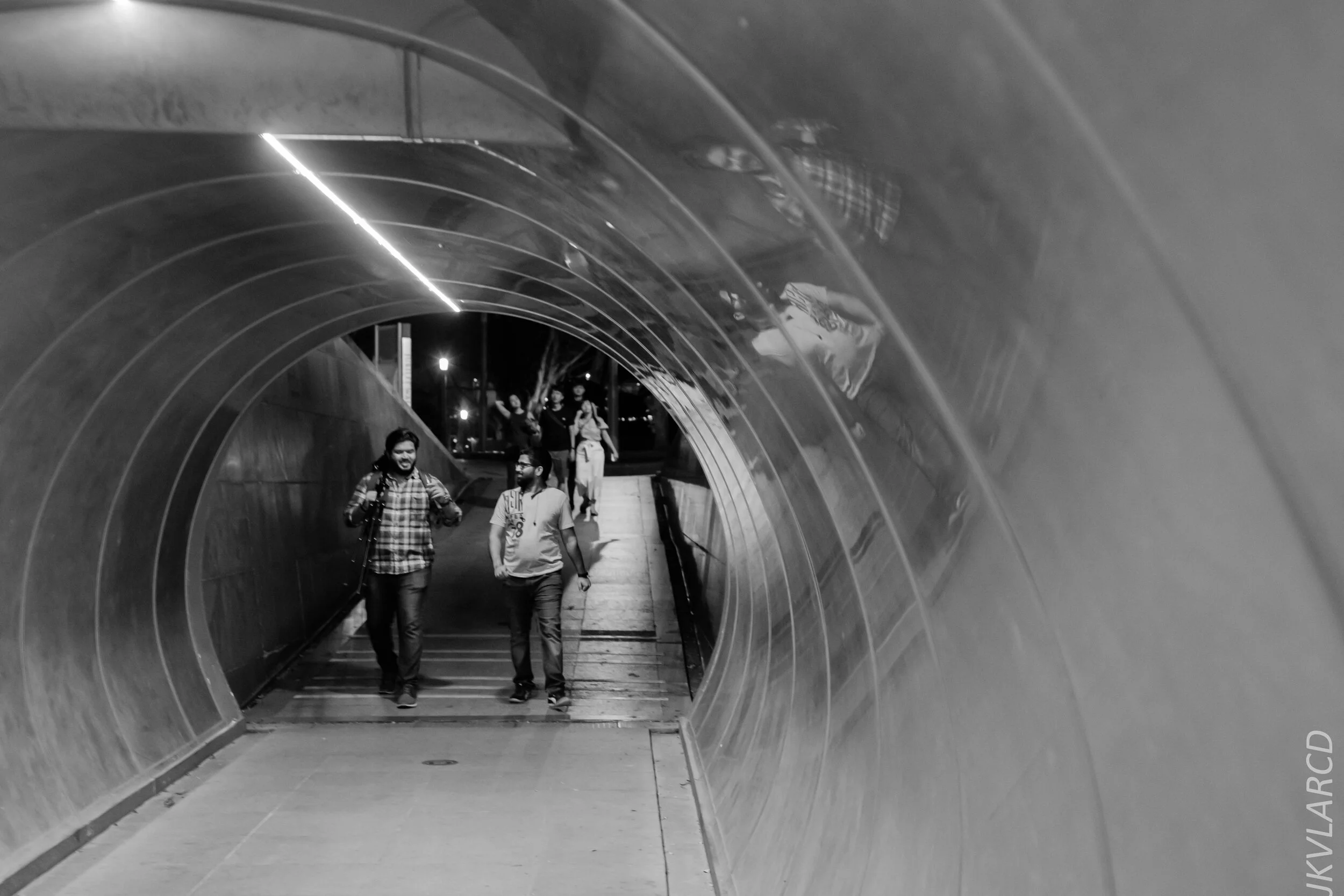 EOS 7D Mark II_2020_02_22_9732.jpg