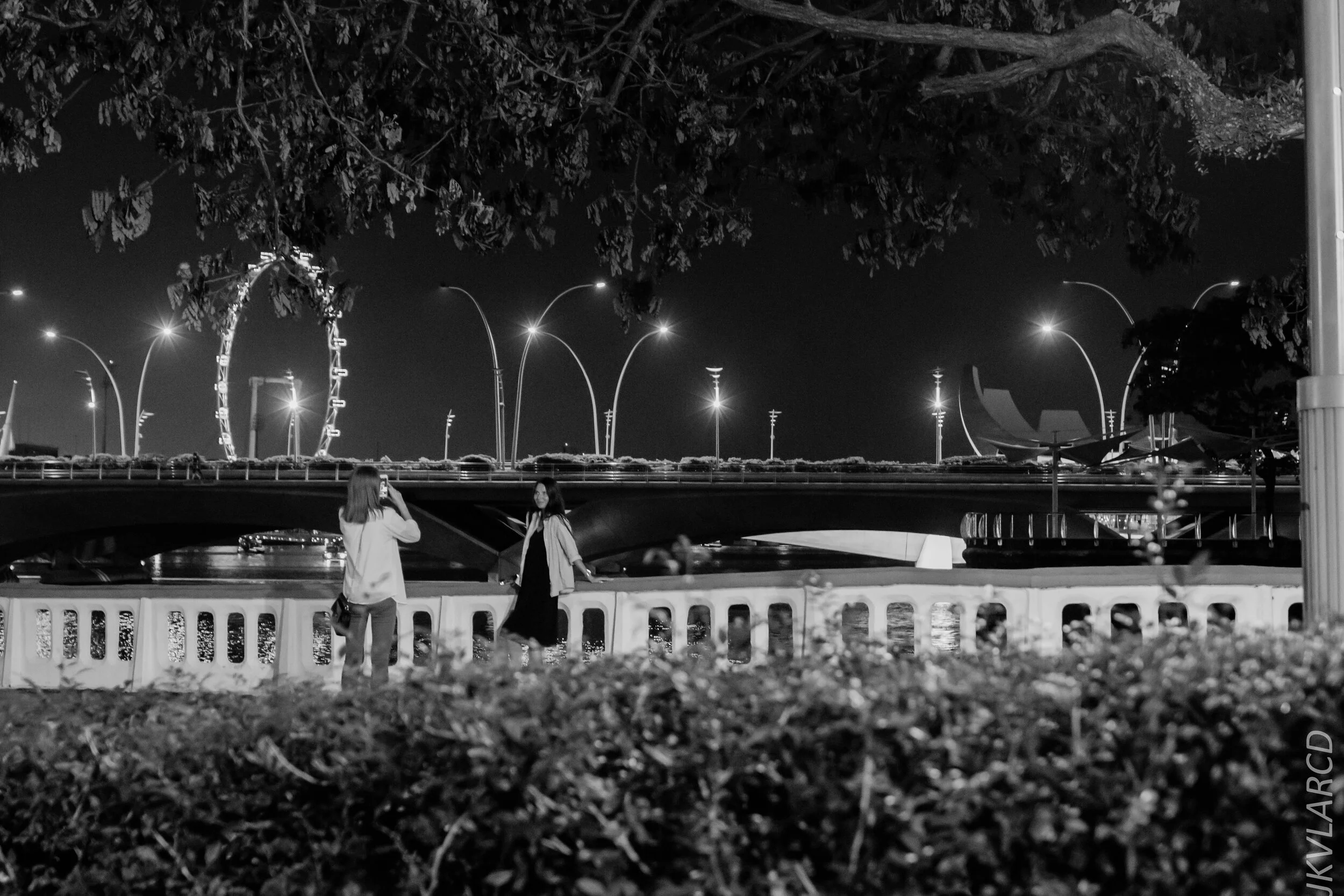 EOS 7D Mark II_2020_02_22_9731.jpg