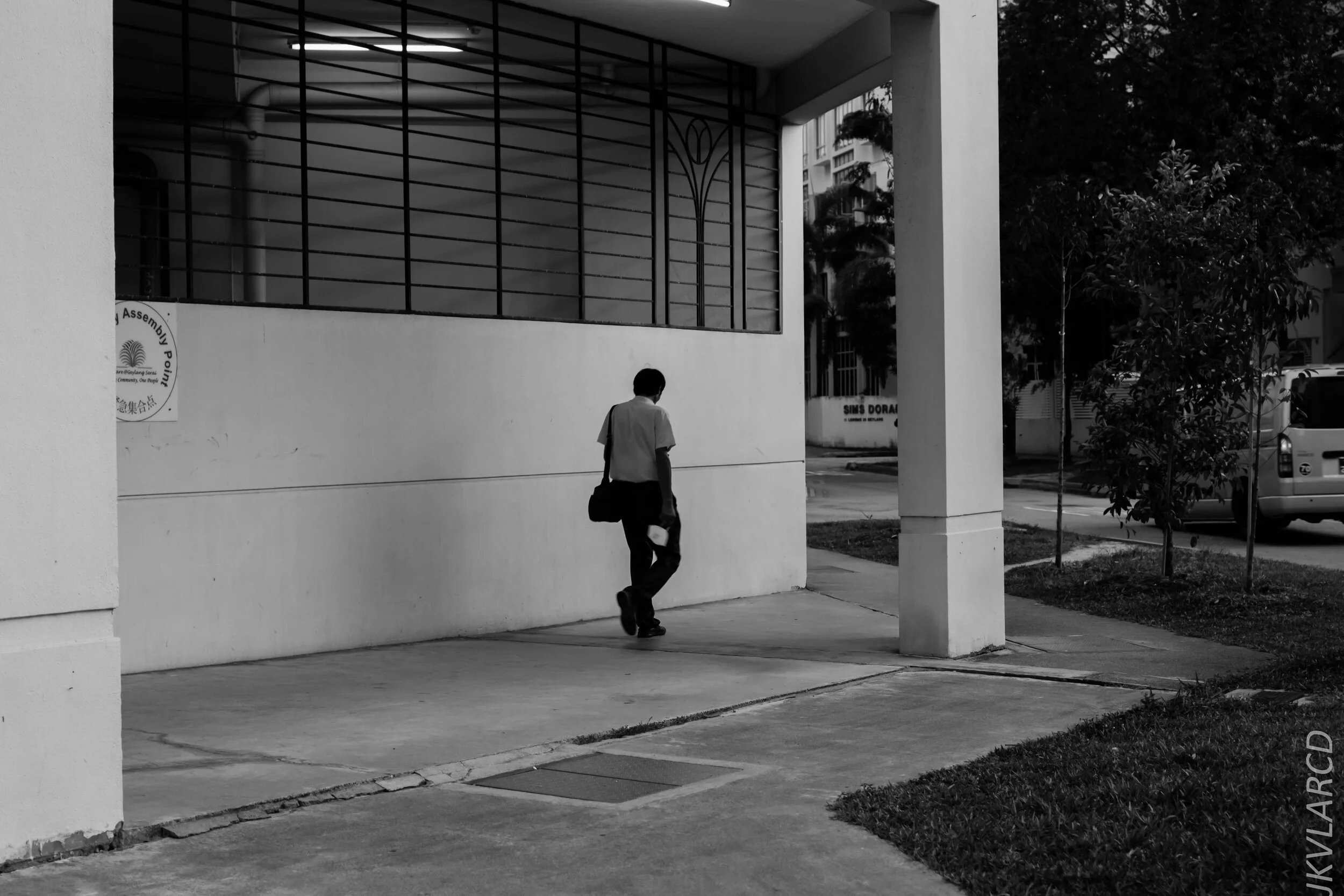 EOS 7D Mark II_2020_02_29_9772.jpg