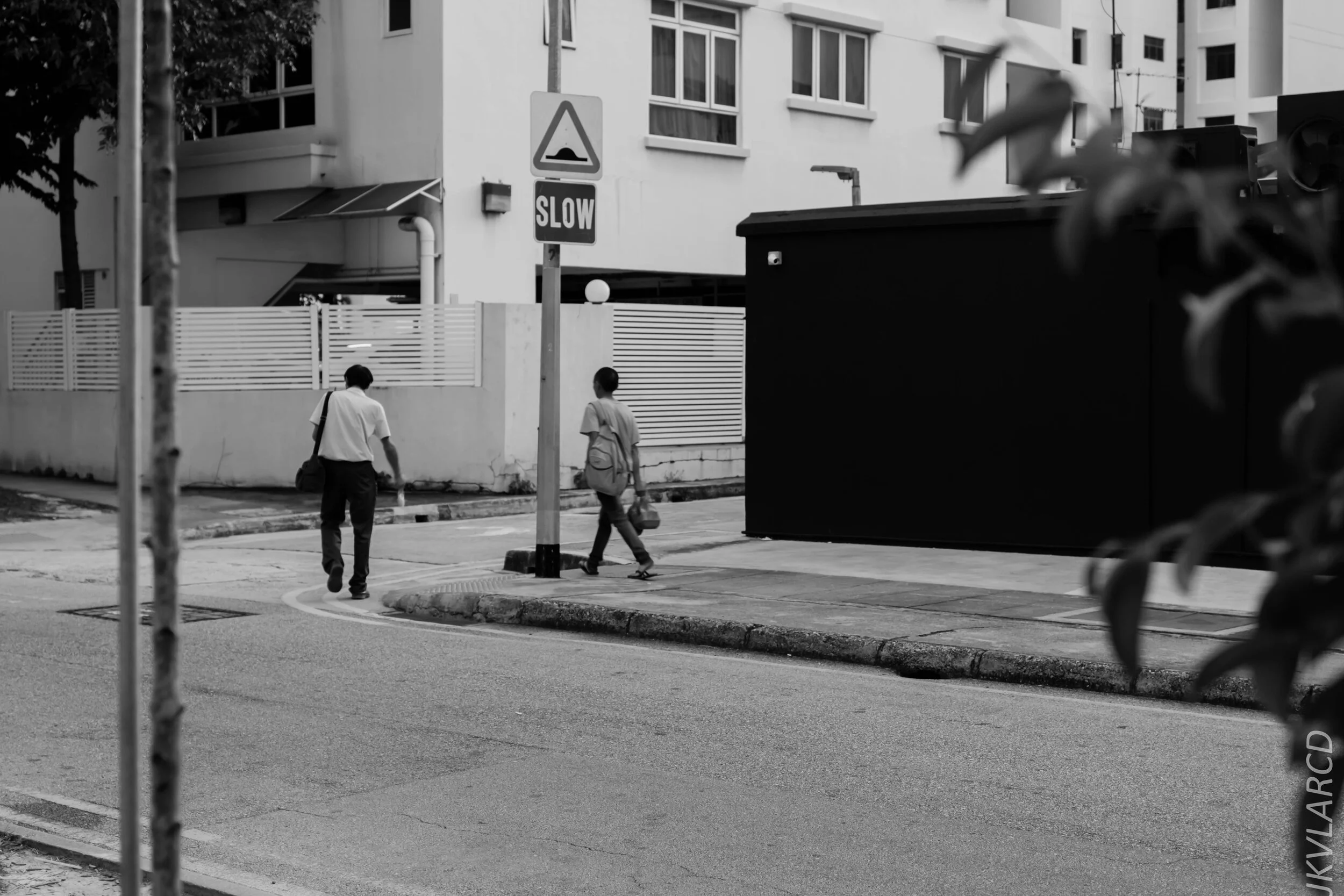 EOS 7D Mark II_2020_02_29_9773.jpg