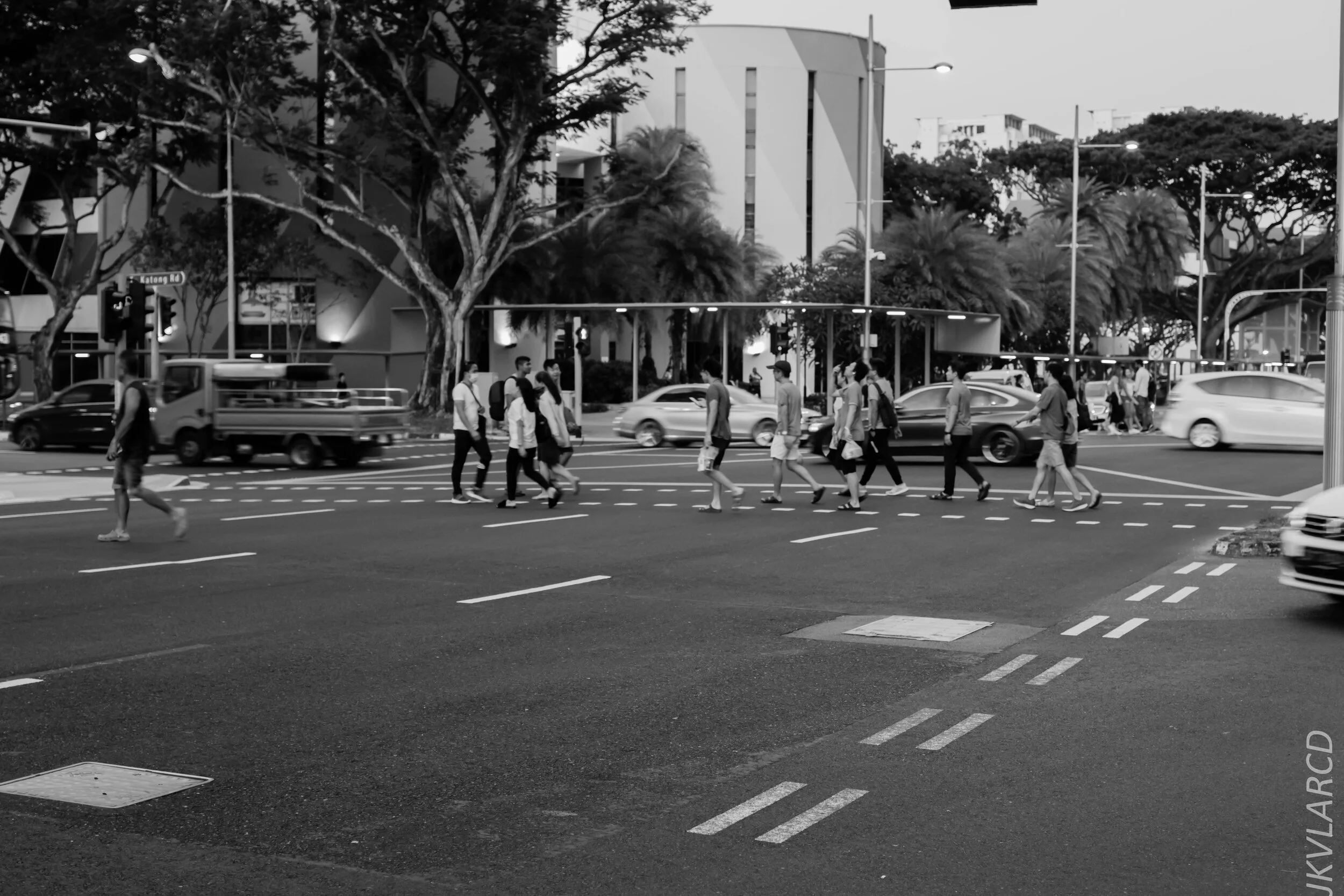 EOS 7D Mark II_2020_02_29_9793.jpg