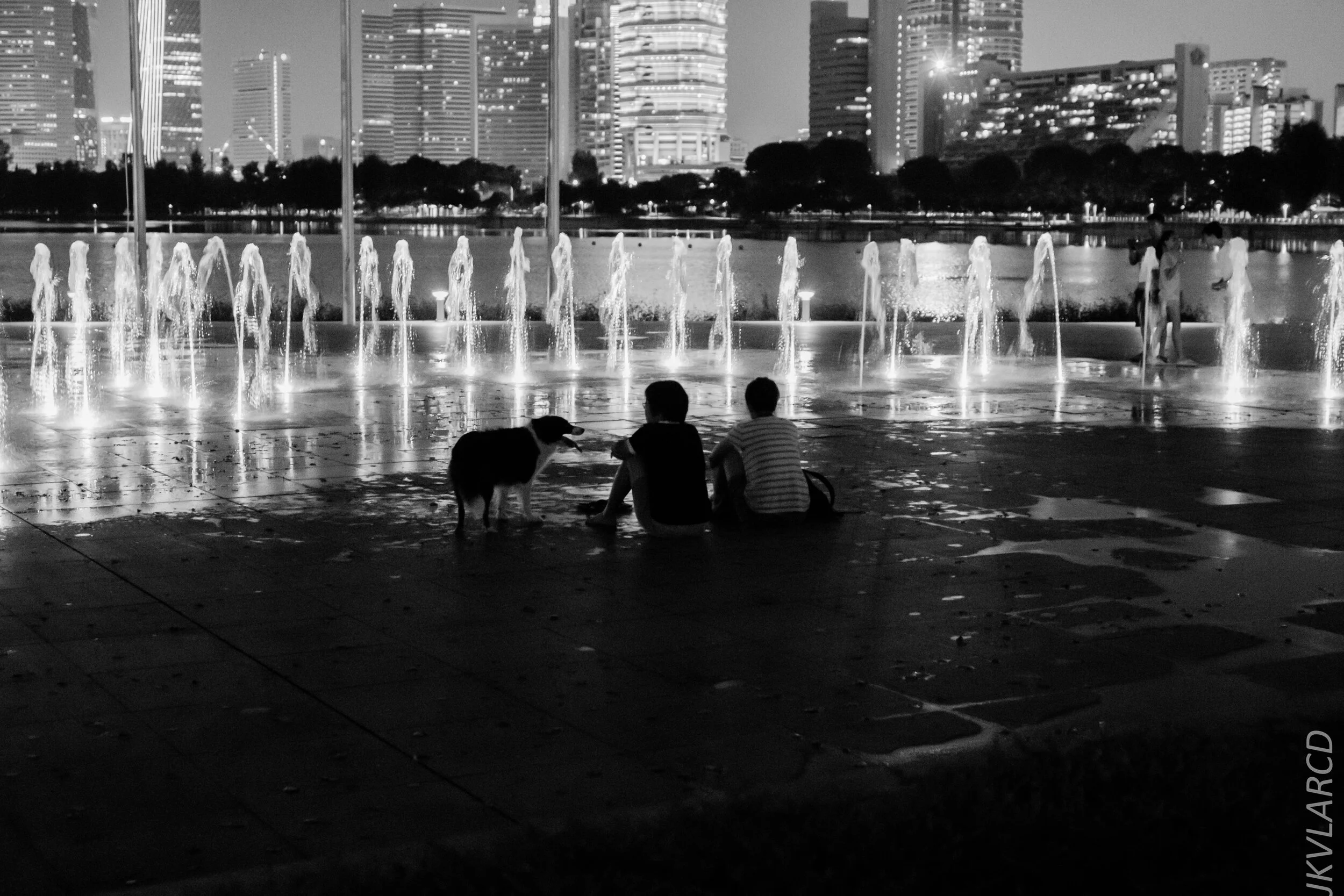 EOS 7D Mark II_2020_03_07_9864.jpg