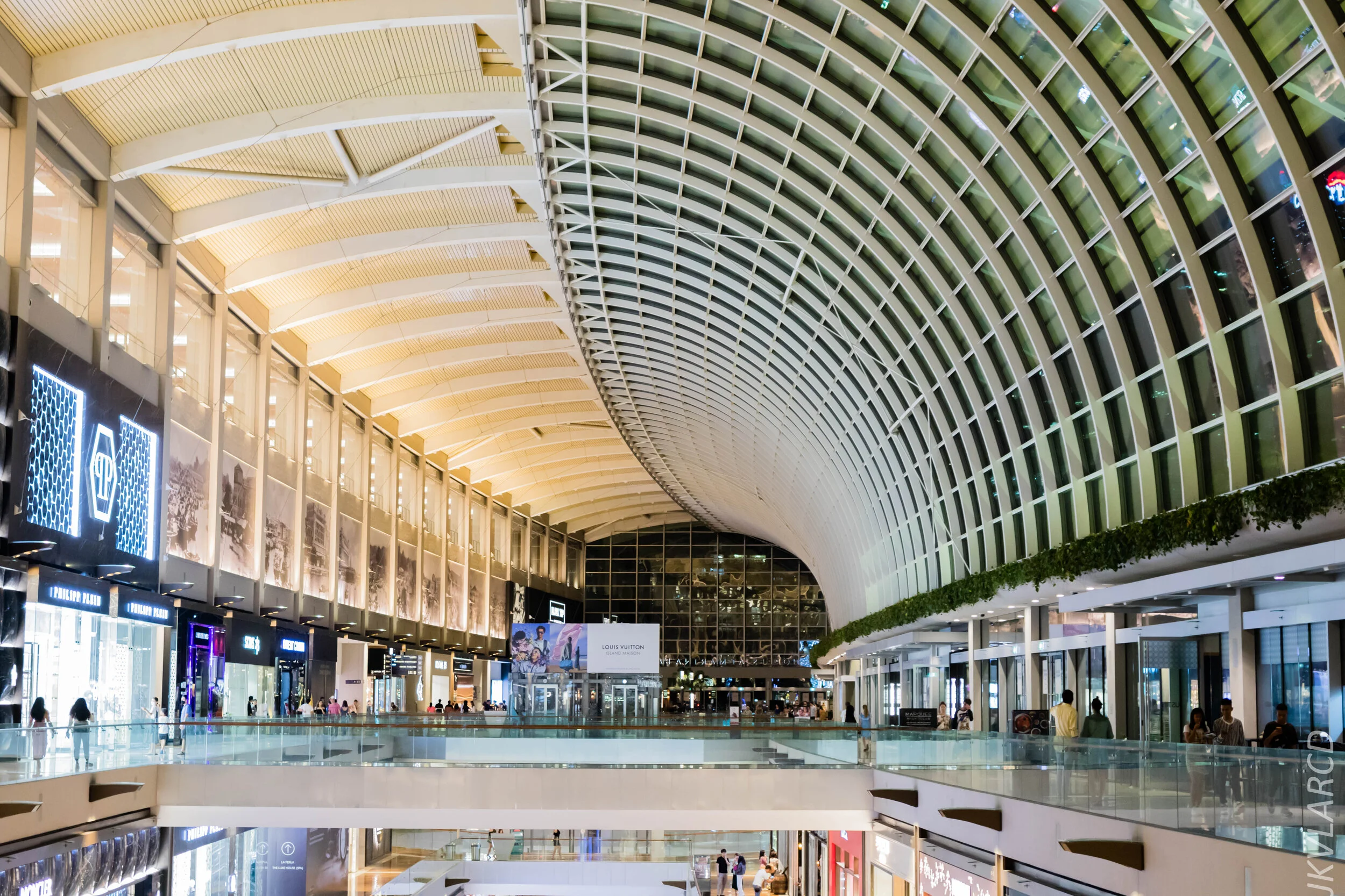 EOS 7D Mark II_2020_03_07_9882.jpg