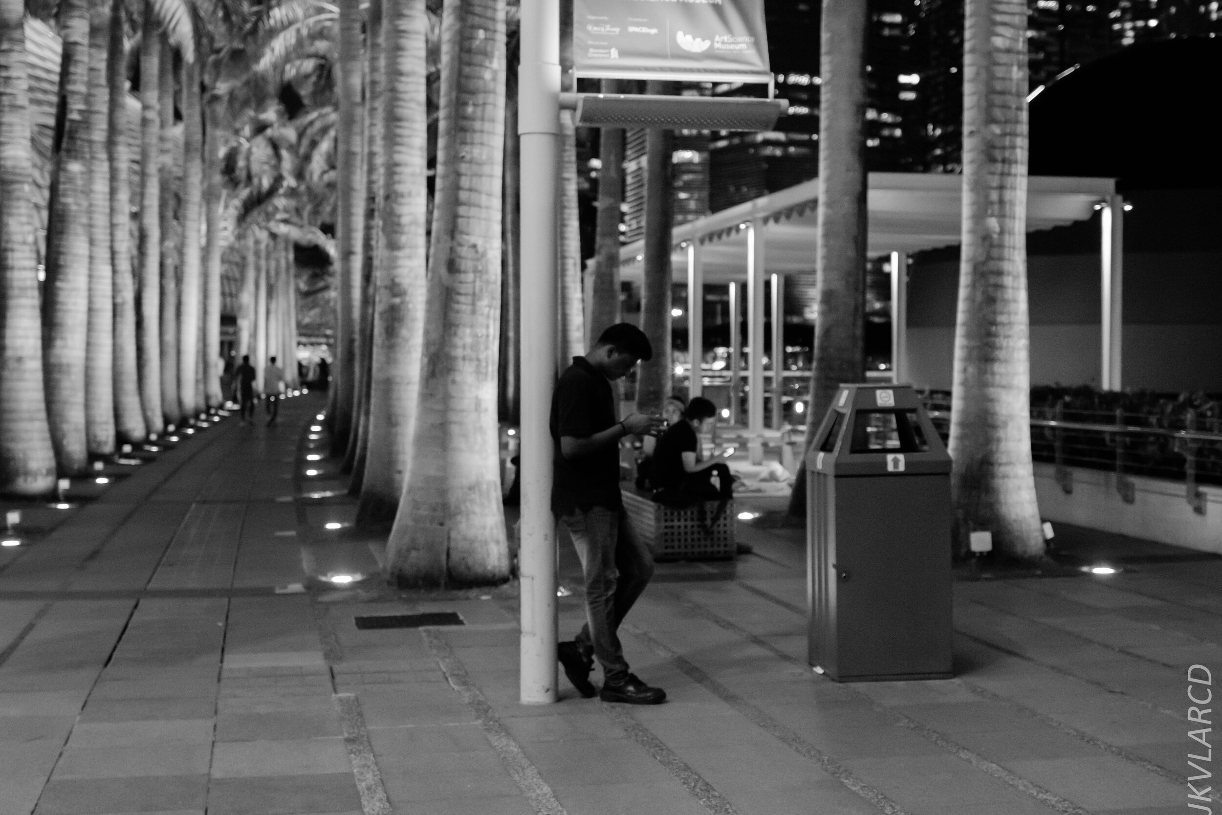 EOS 7D Mark II_2020_03_07_9887.jpg