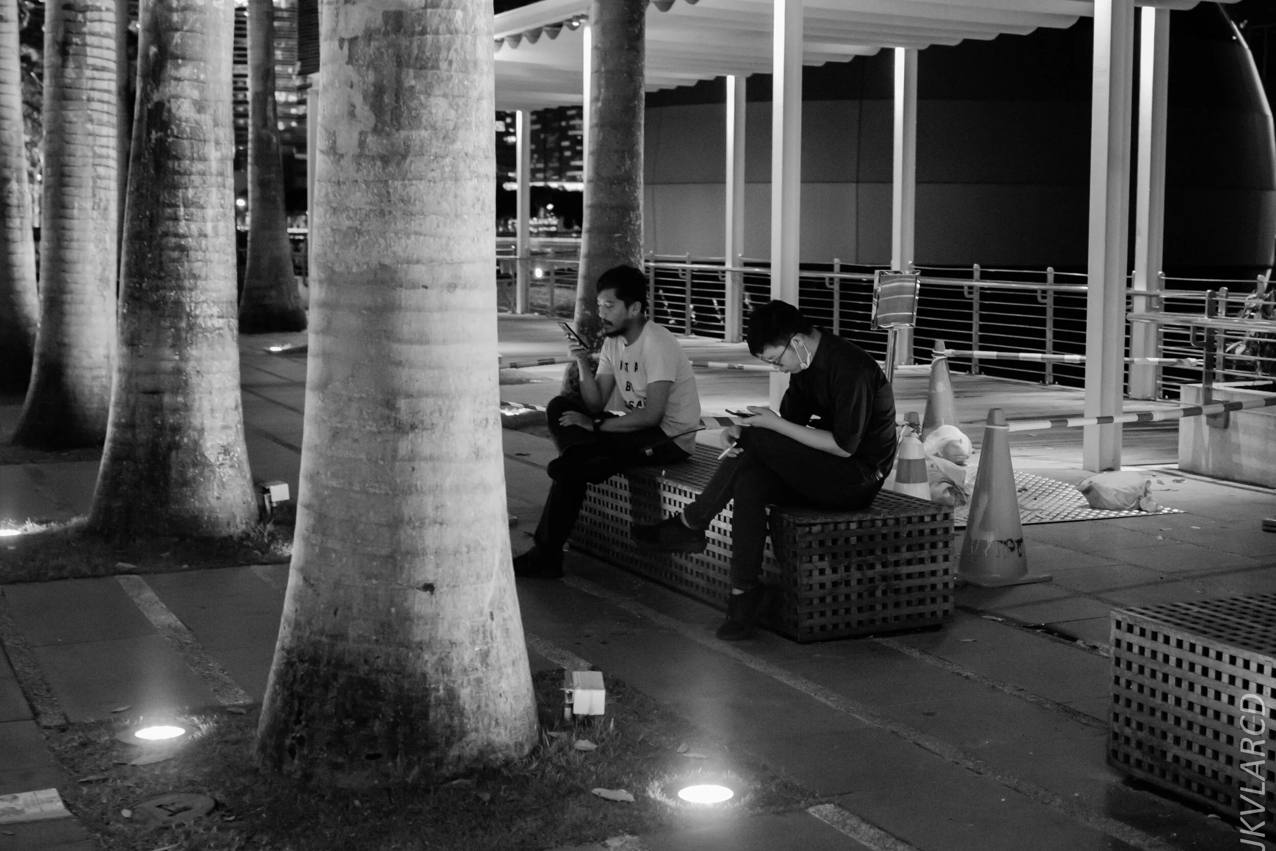 EOS 7D Mark II_2020_03_07_9888.jpg