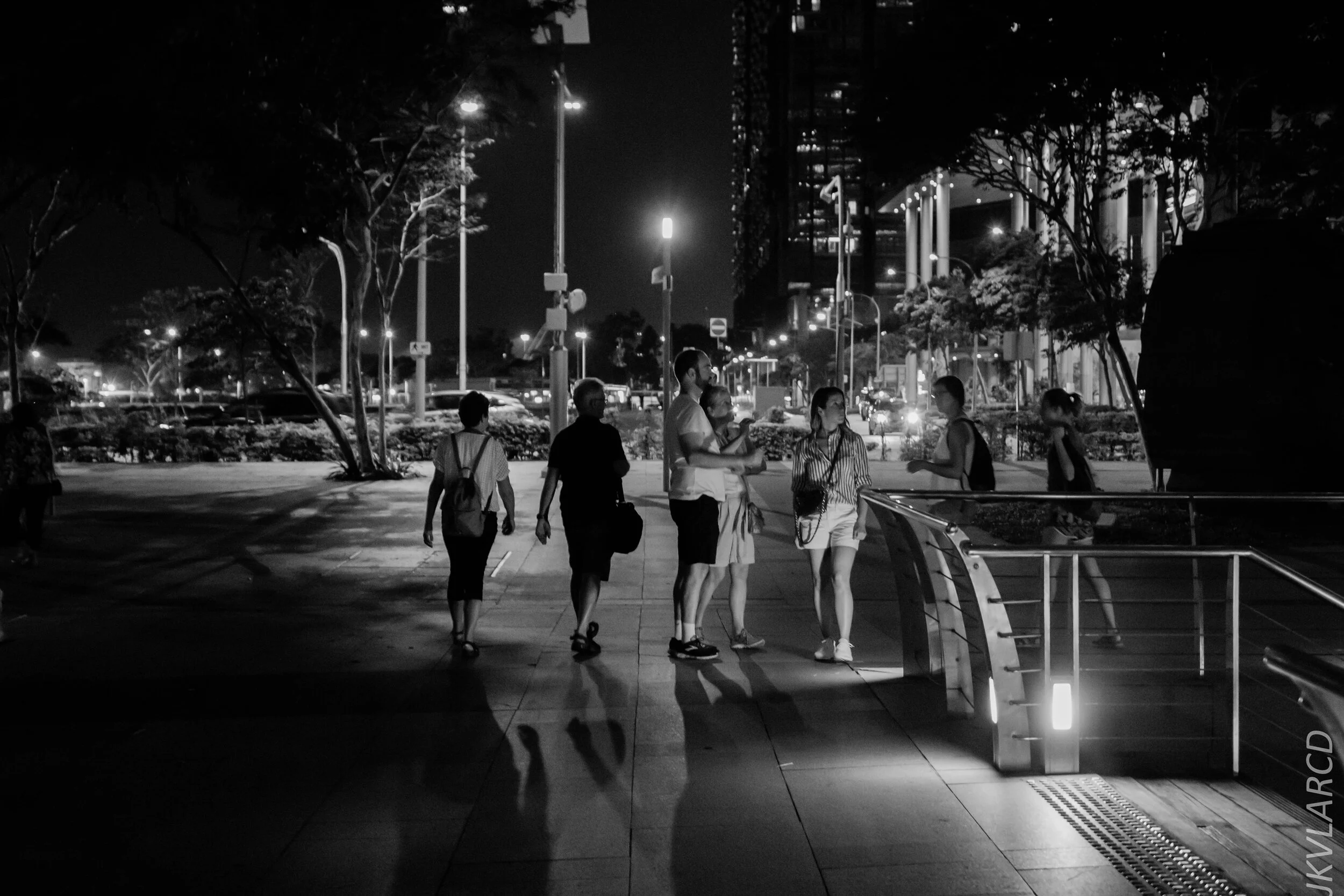 EOS 7D Mark II_2020_03_07_9902.jpg