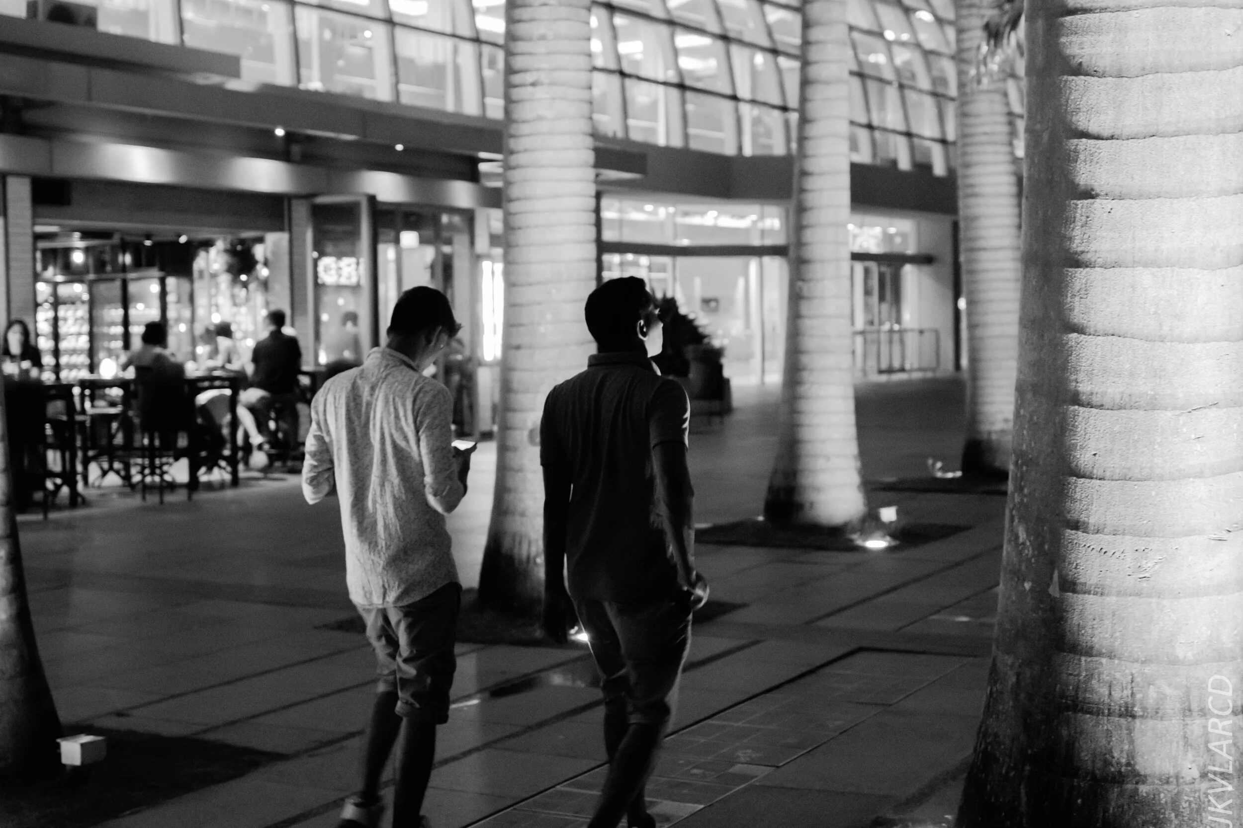 EOS 7D Mark II_2020_03_07_9890.jpg