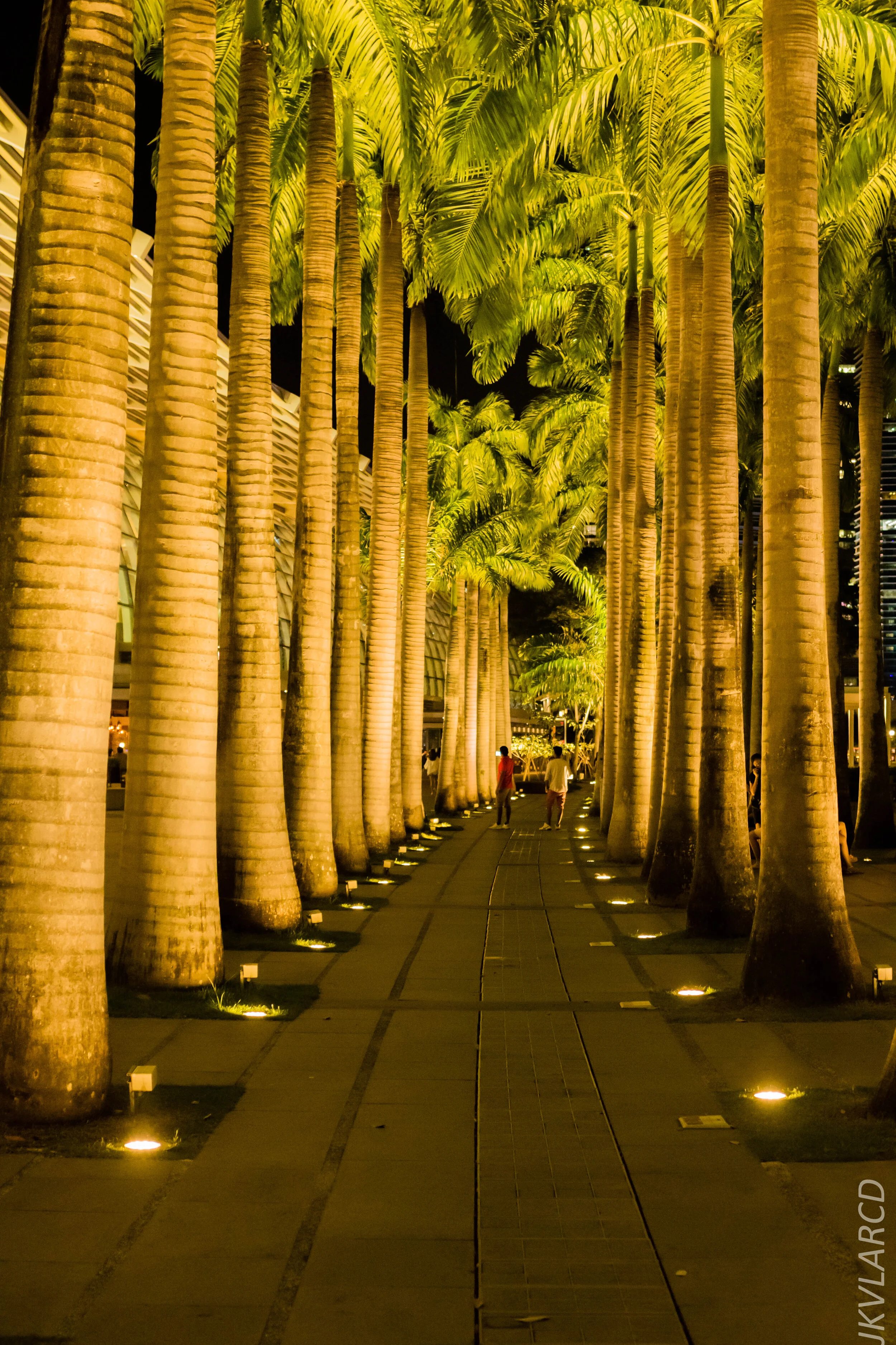 EOS 7D Mark II_2020_03_07_9889.jpg