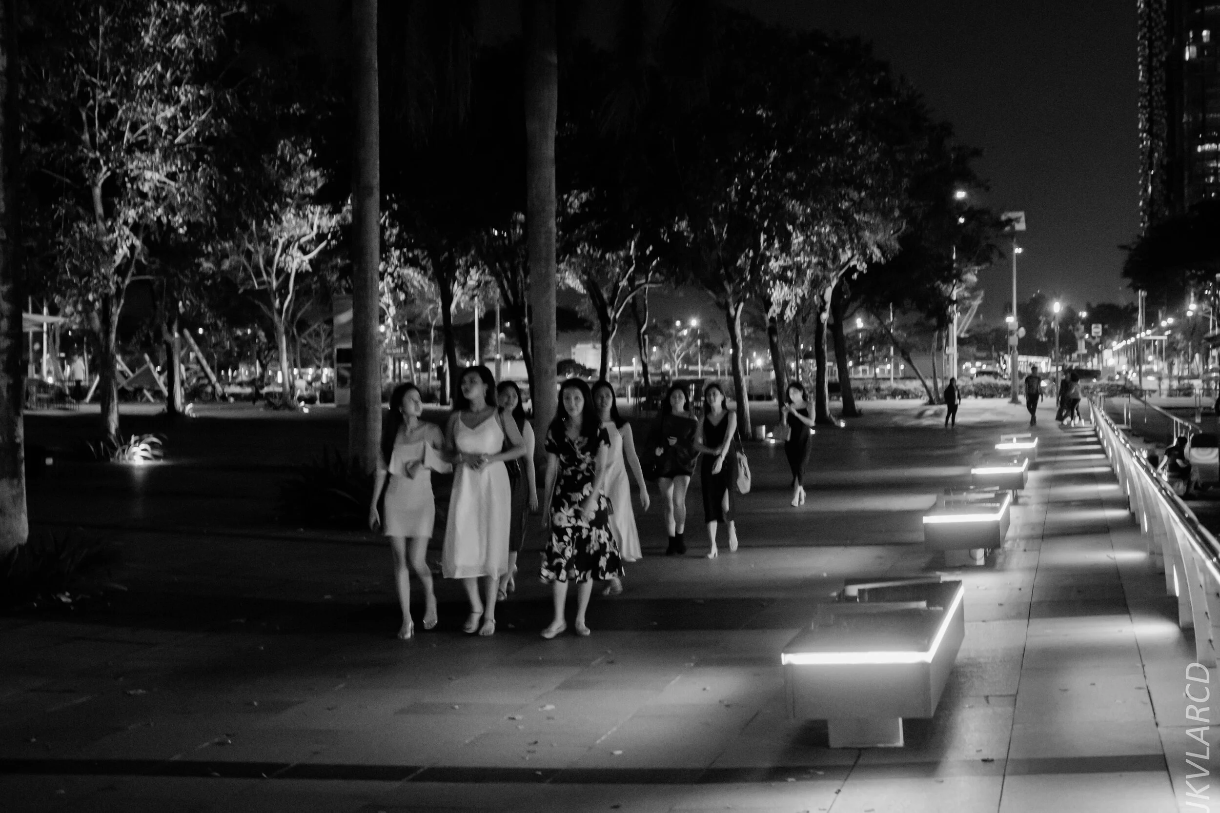 EOS 7D Mark II_2020_03_07_9901.jpg