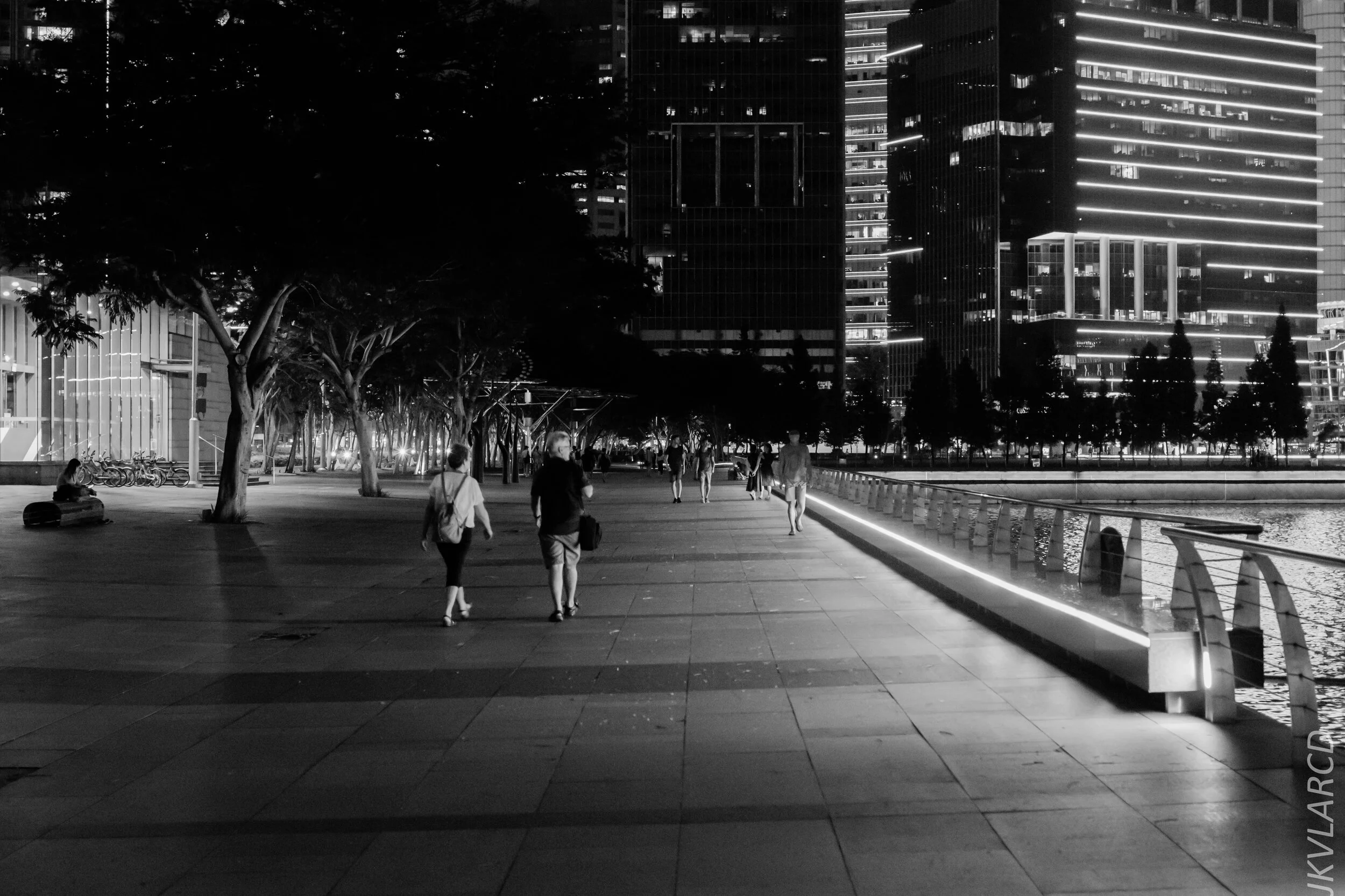 EOS 7D Mark II_2020_03_07_9903.jpg