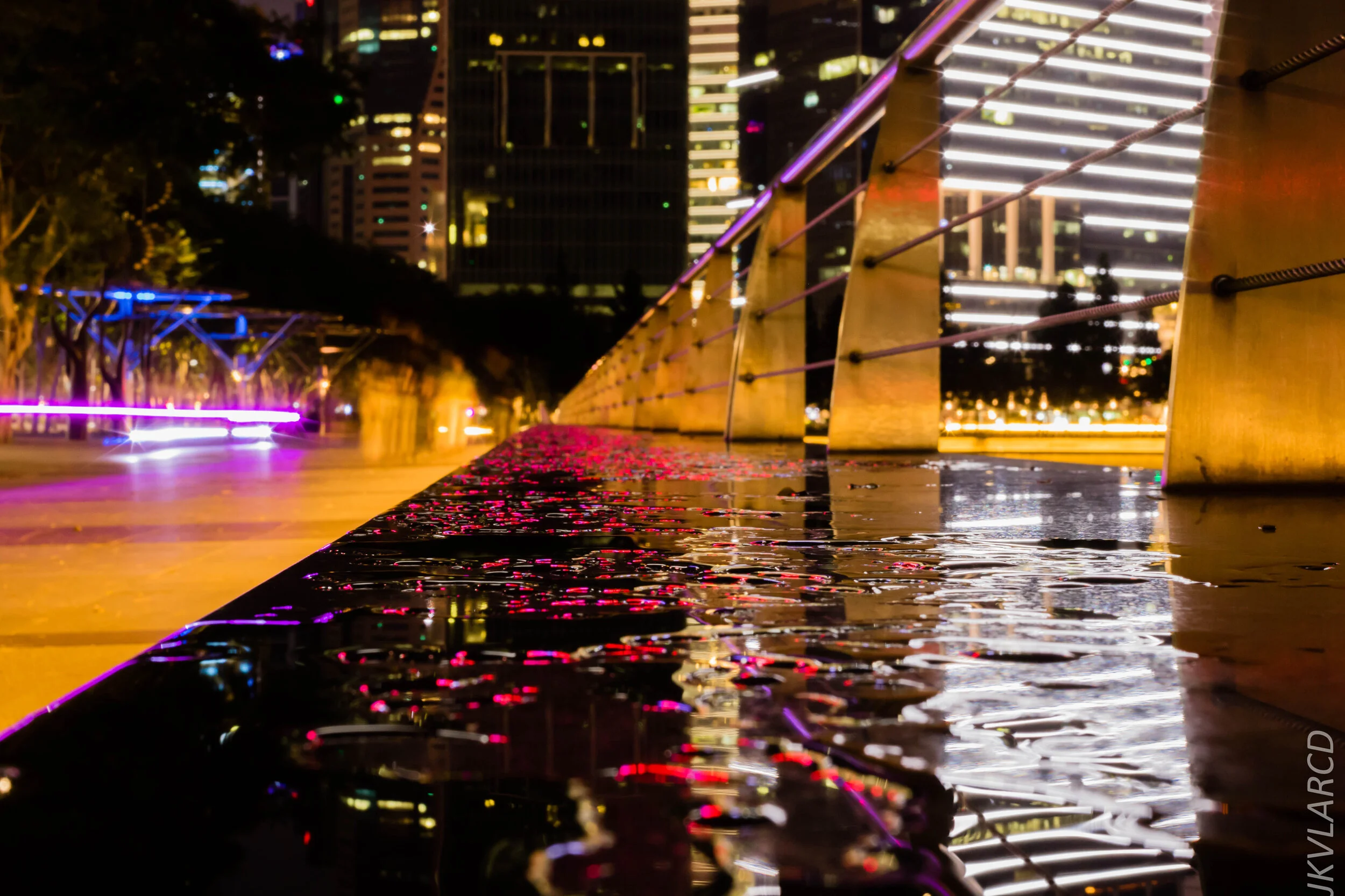 EOS 7D Mark II_2020_03_07_9912.jpg