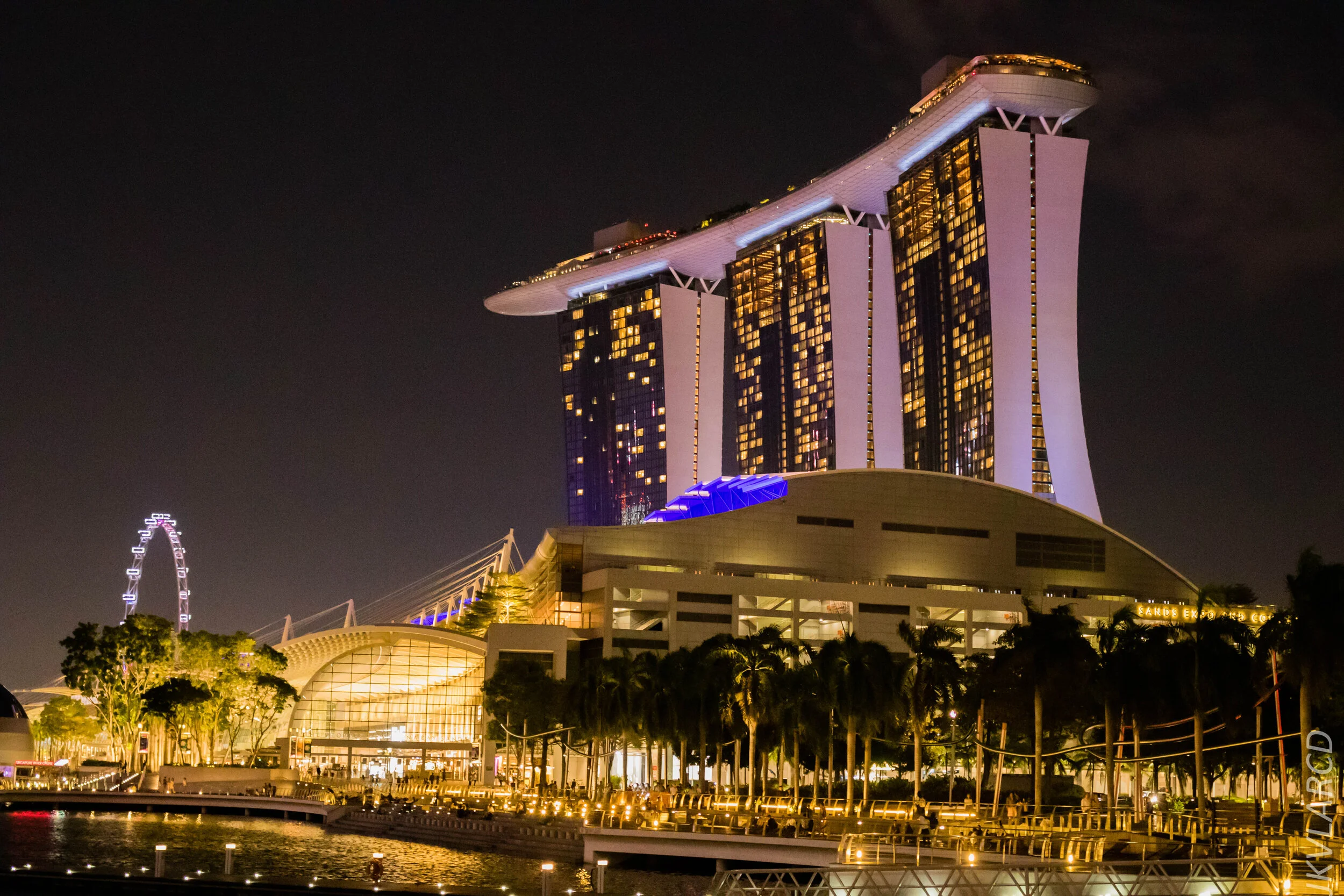 EOS 7D Mark II_2020_03_07_9913.jpg