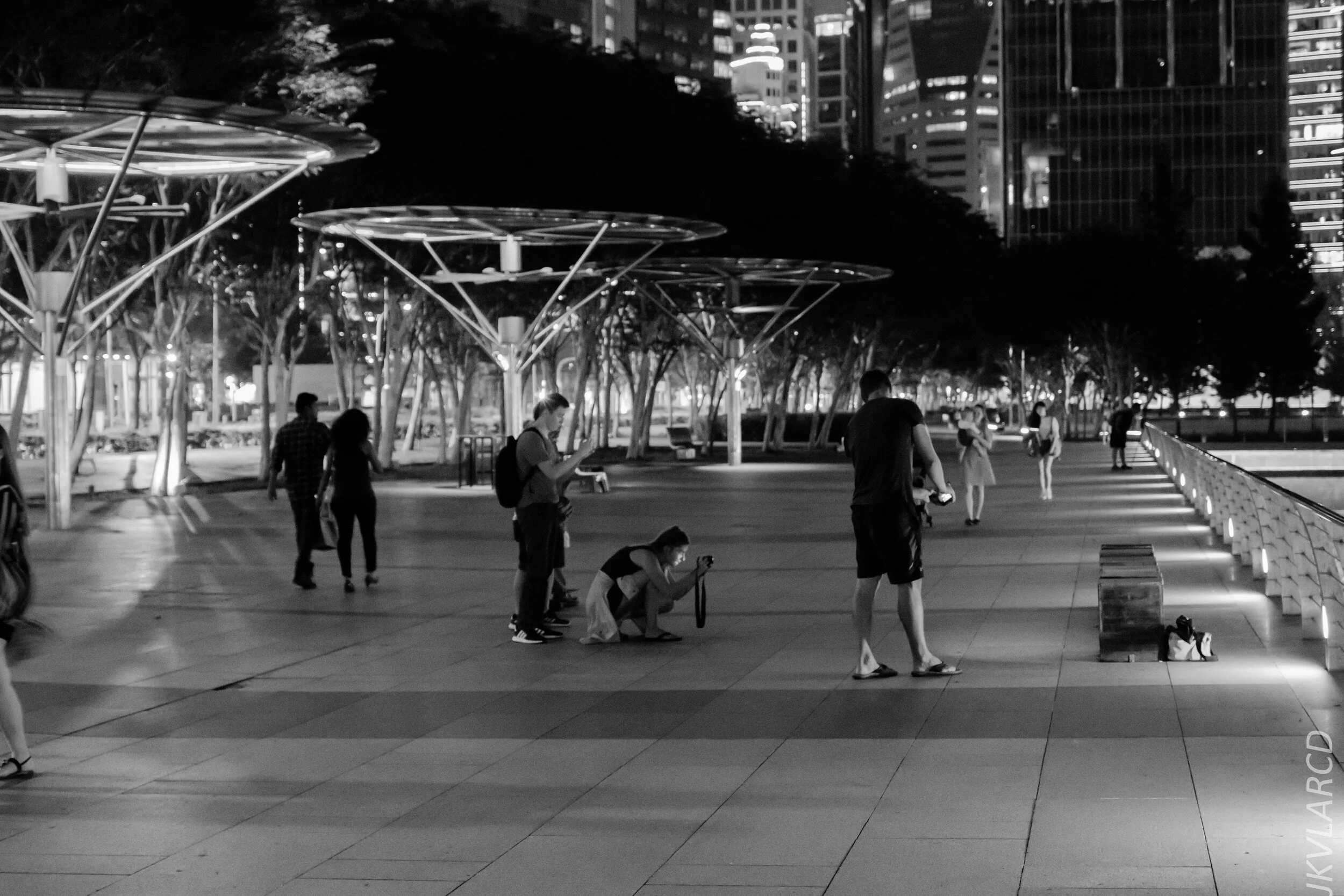 EOS 7D Mark II_2020_03_07_9919.jpg