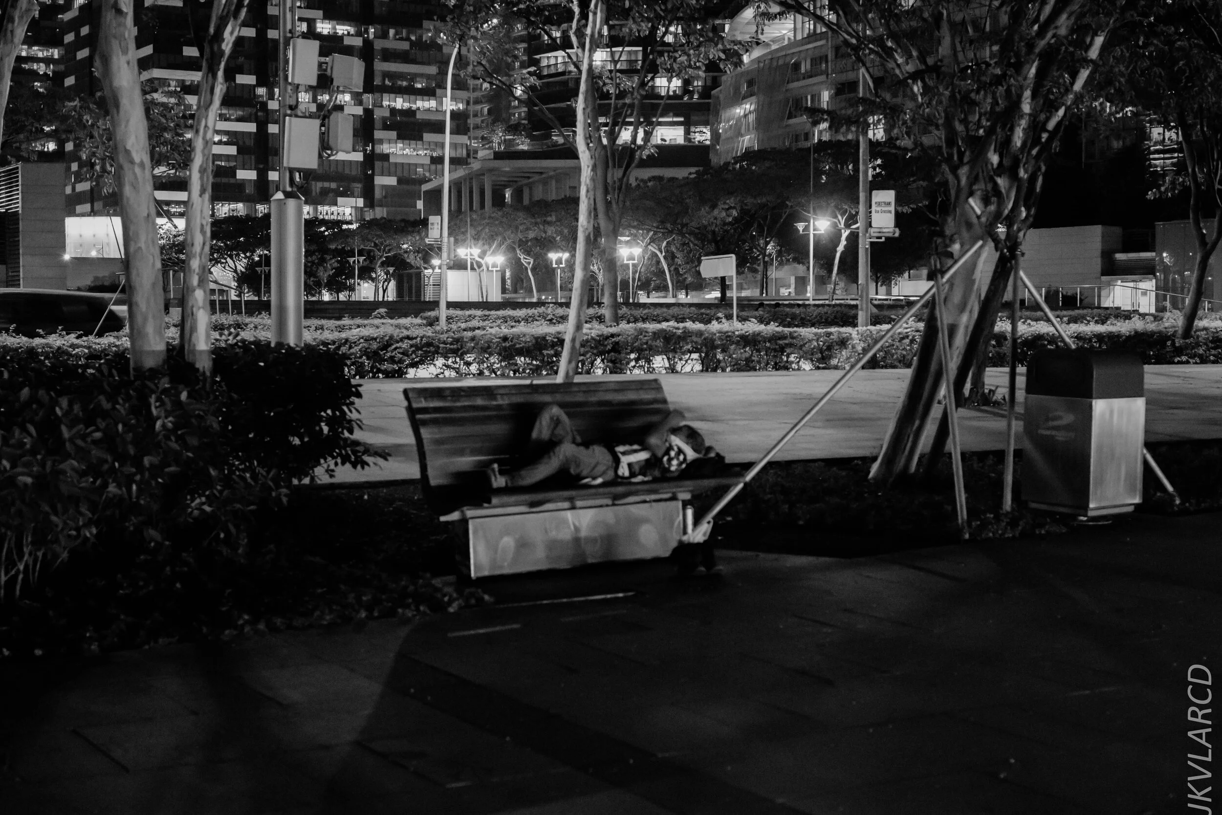 EOS 7D Mark II_2020_03_07_9920.jpg