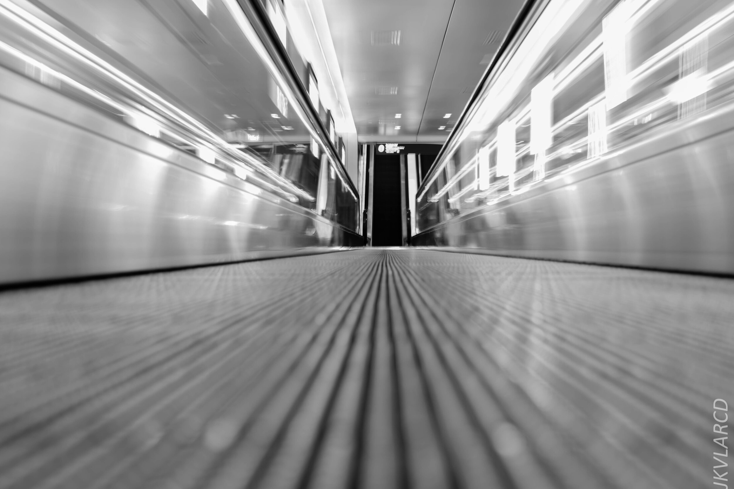 EOS 7D Mark II_2020_03_07_9928.jpg