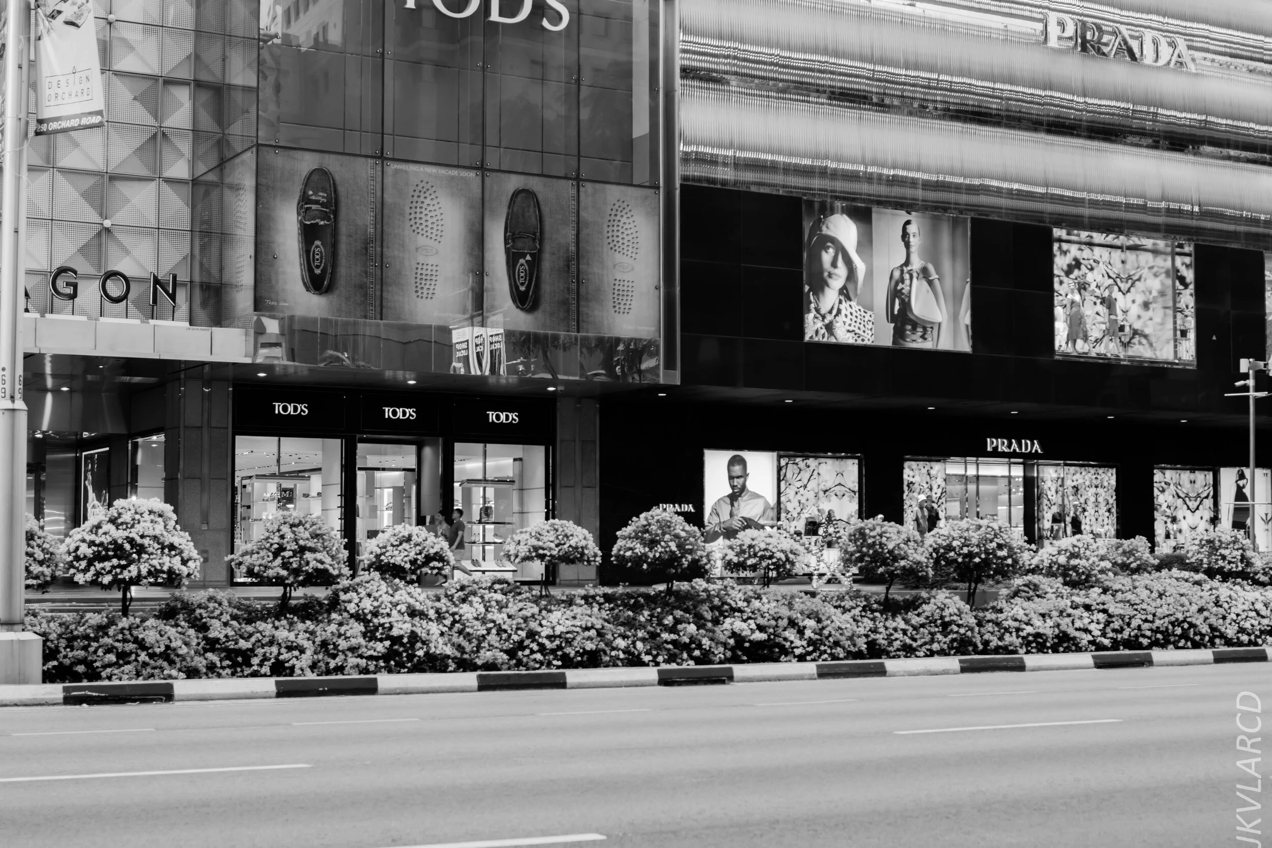 EOS 7D Mark II_2020_03_28_0409.jpg