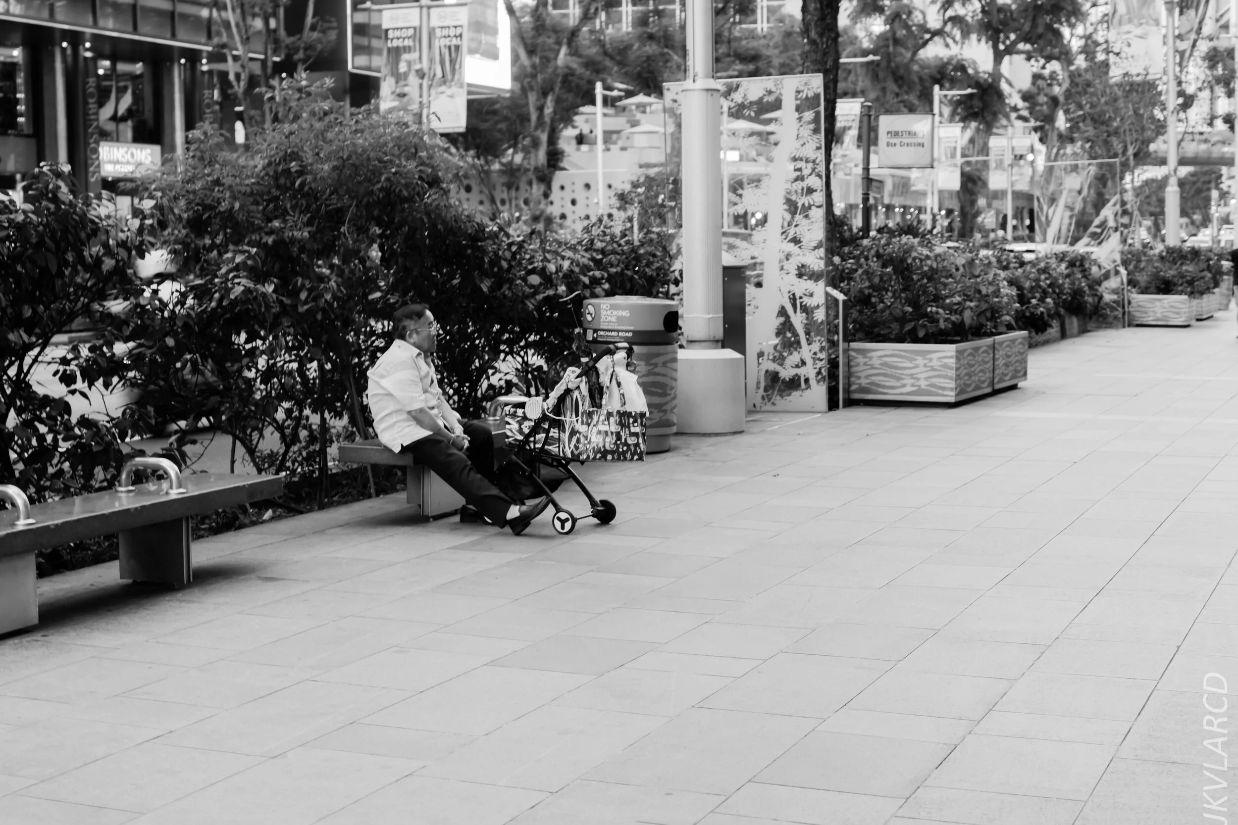 EOS 7D Mark II_2020_03_28_0420.jpg