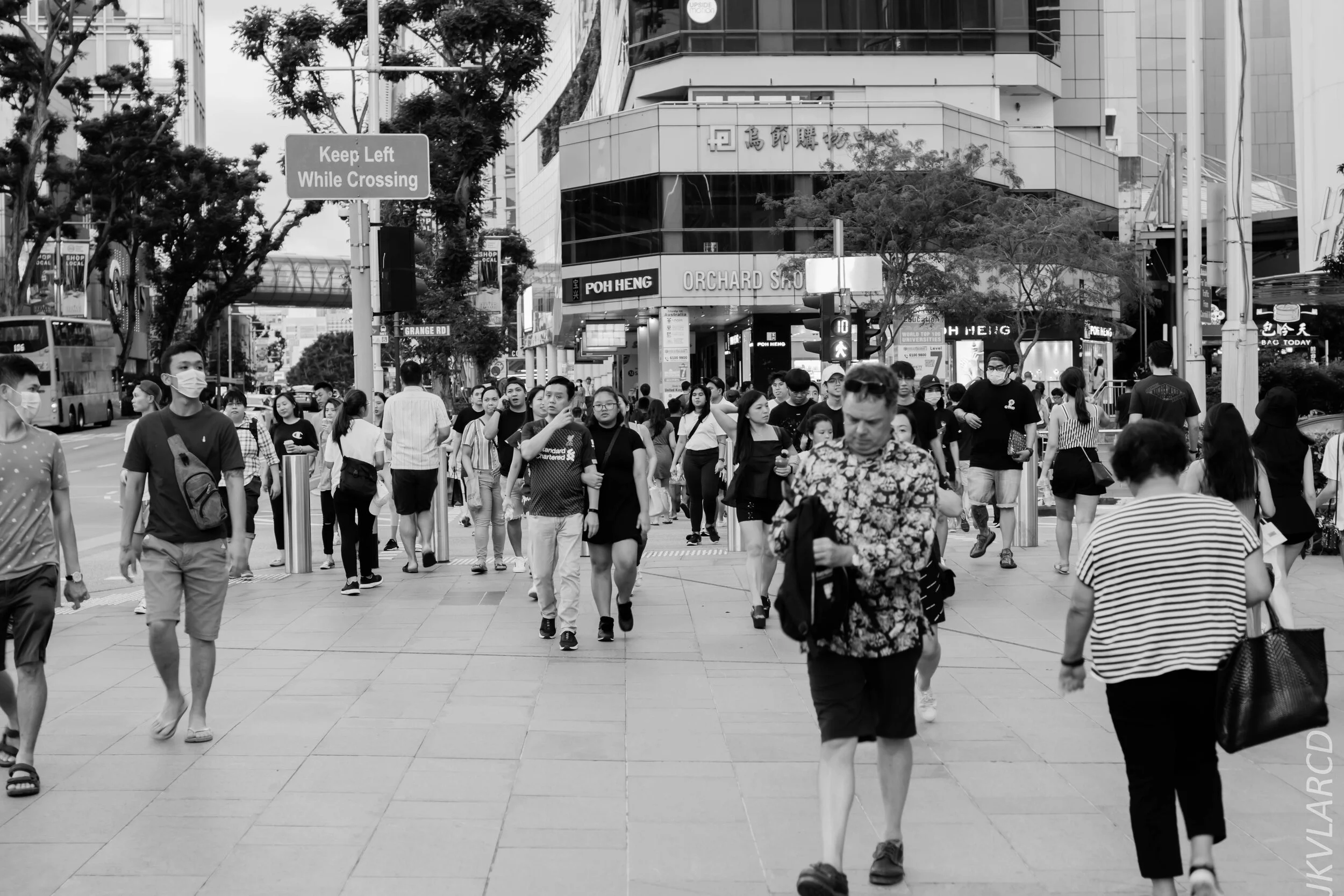 EOS 7D Mark II_2020_03_28_0421.jpg