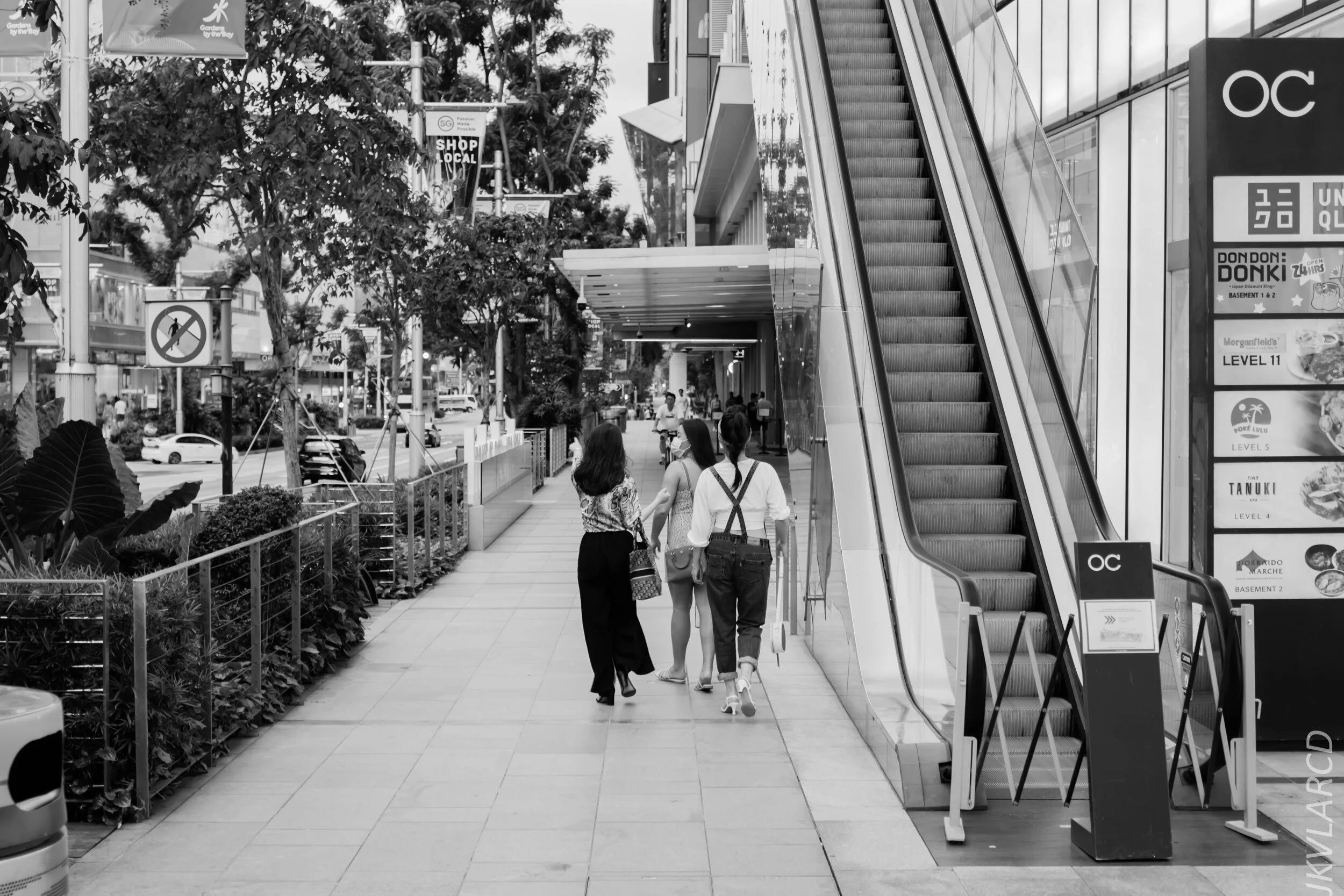 EOS 7D Mark II_2020_03_28_0425.jpg