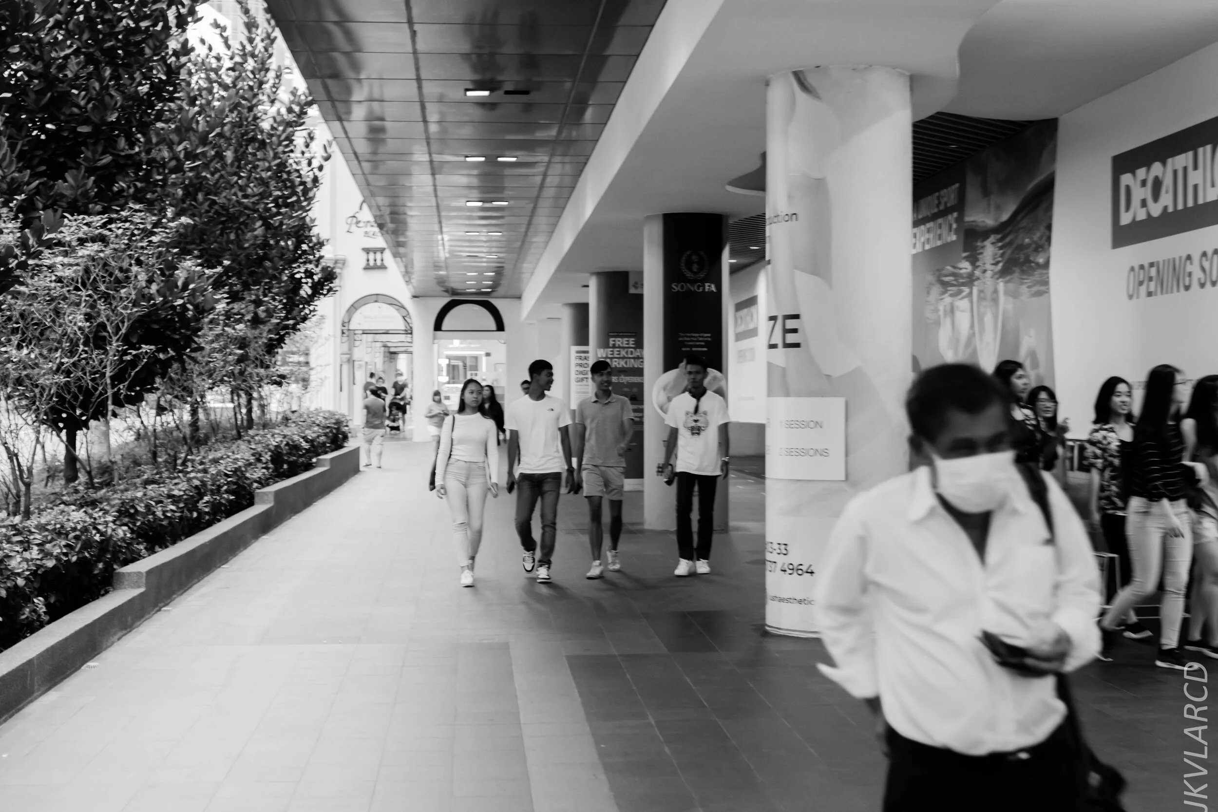 EOS 7D Mark II_2020_03_28_0434.jpg