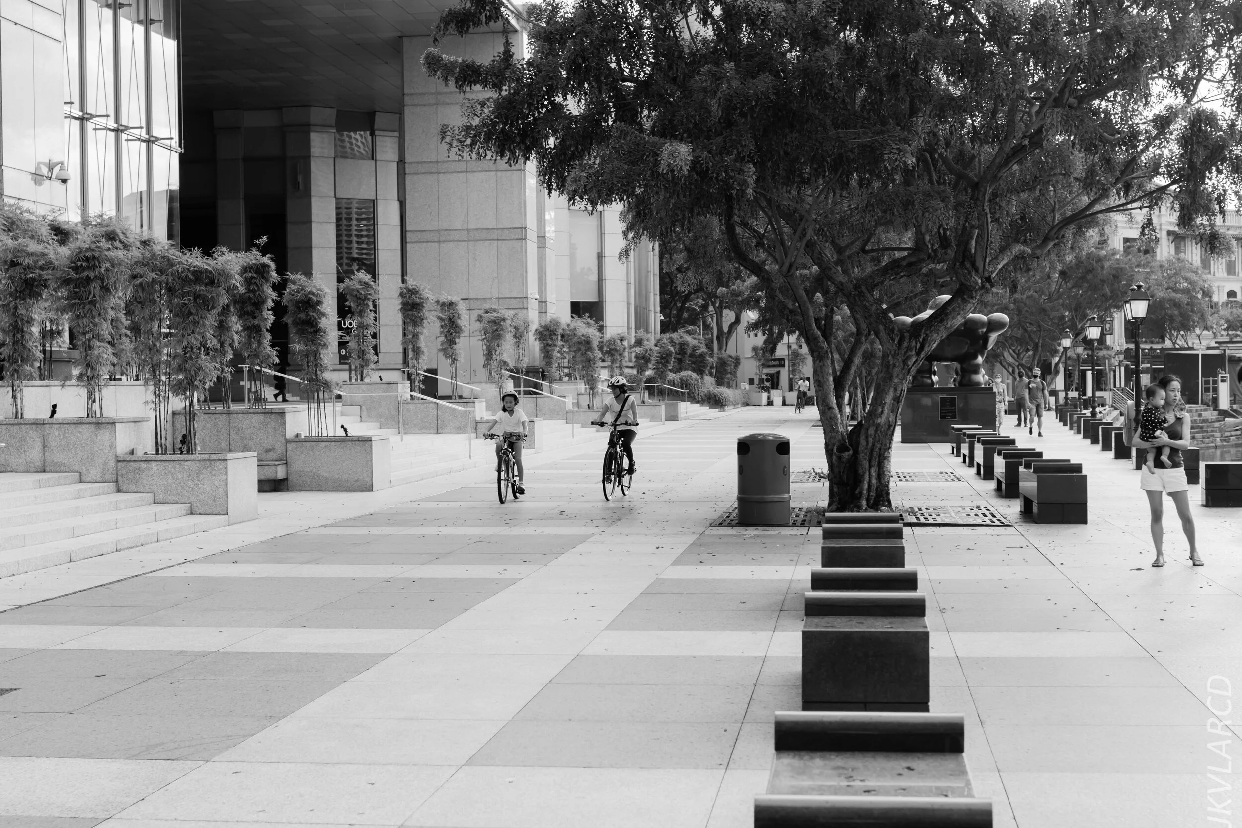 EOS 7D Mark II_2020_06_20_0771.jpg