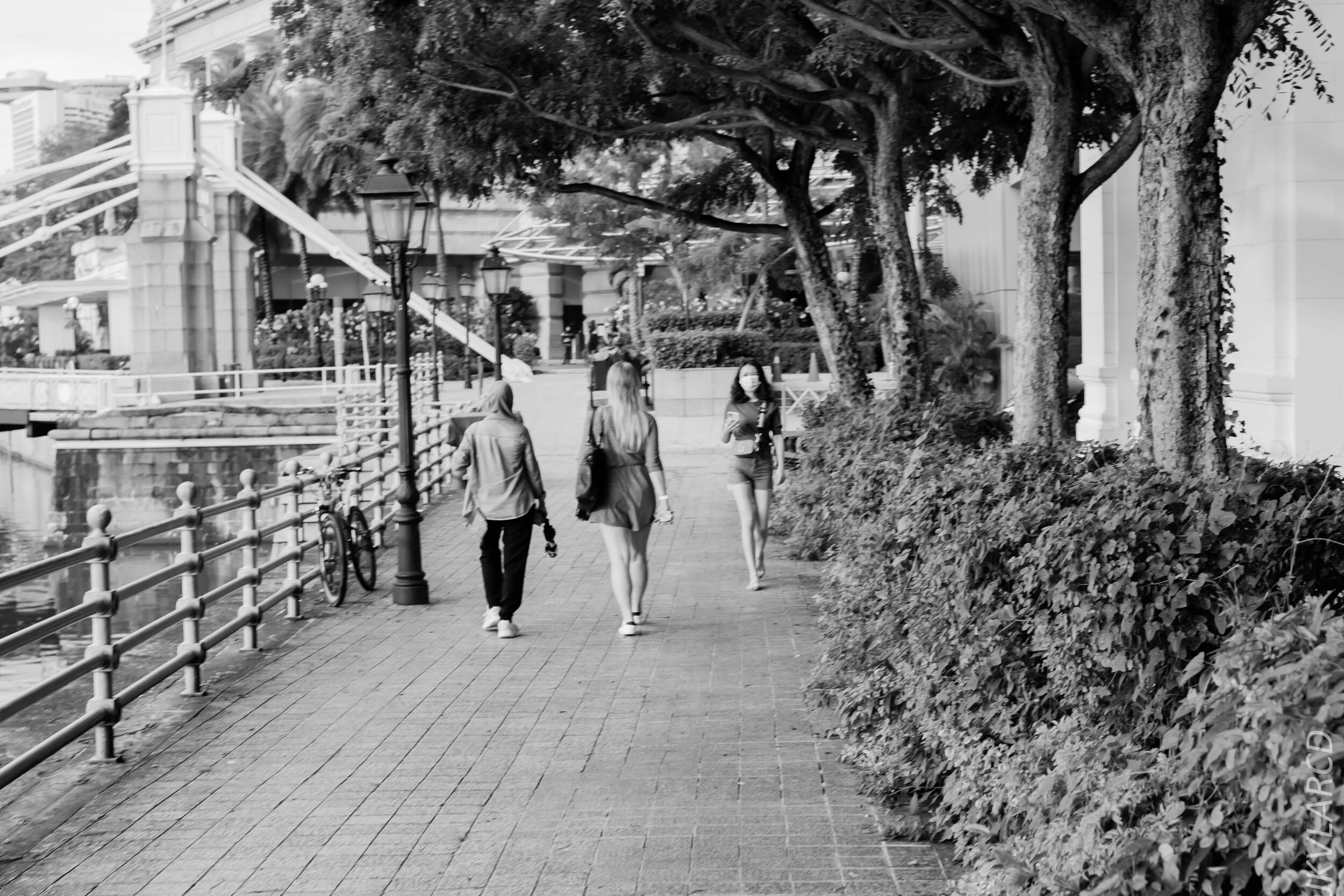 EOS 7D Mark II_2020_06_20_0773.jpg