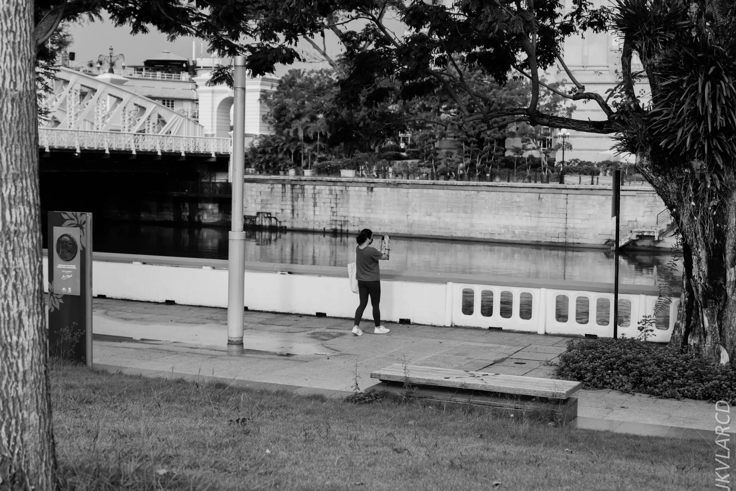 EOS 7D Mark II_2020_06_20_0779.jpg