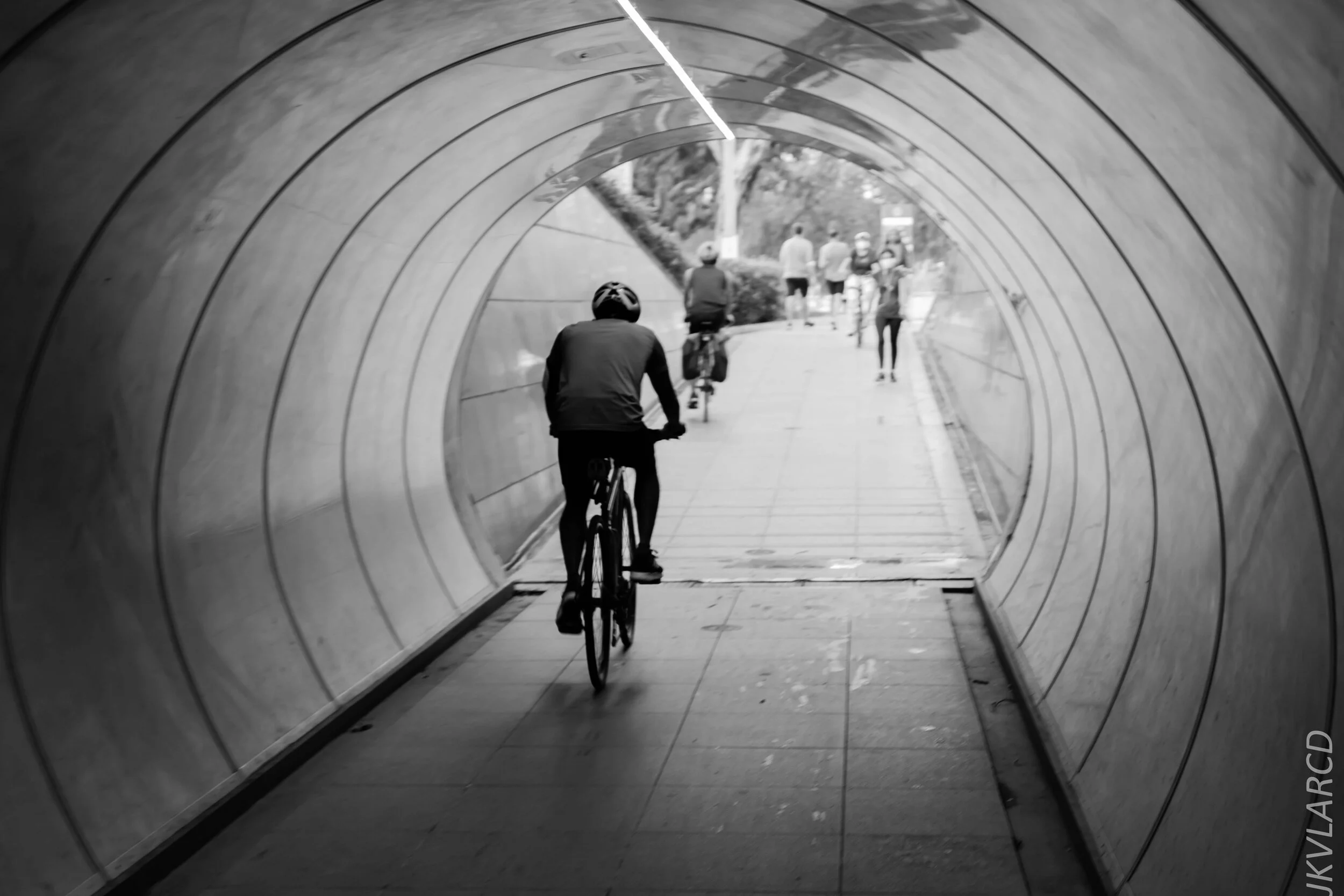 EOS 7D Mark II_2020_06_20_0782.jpg