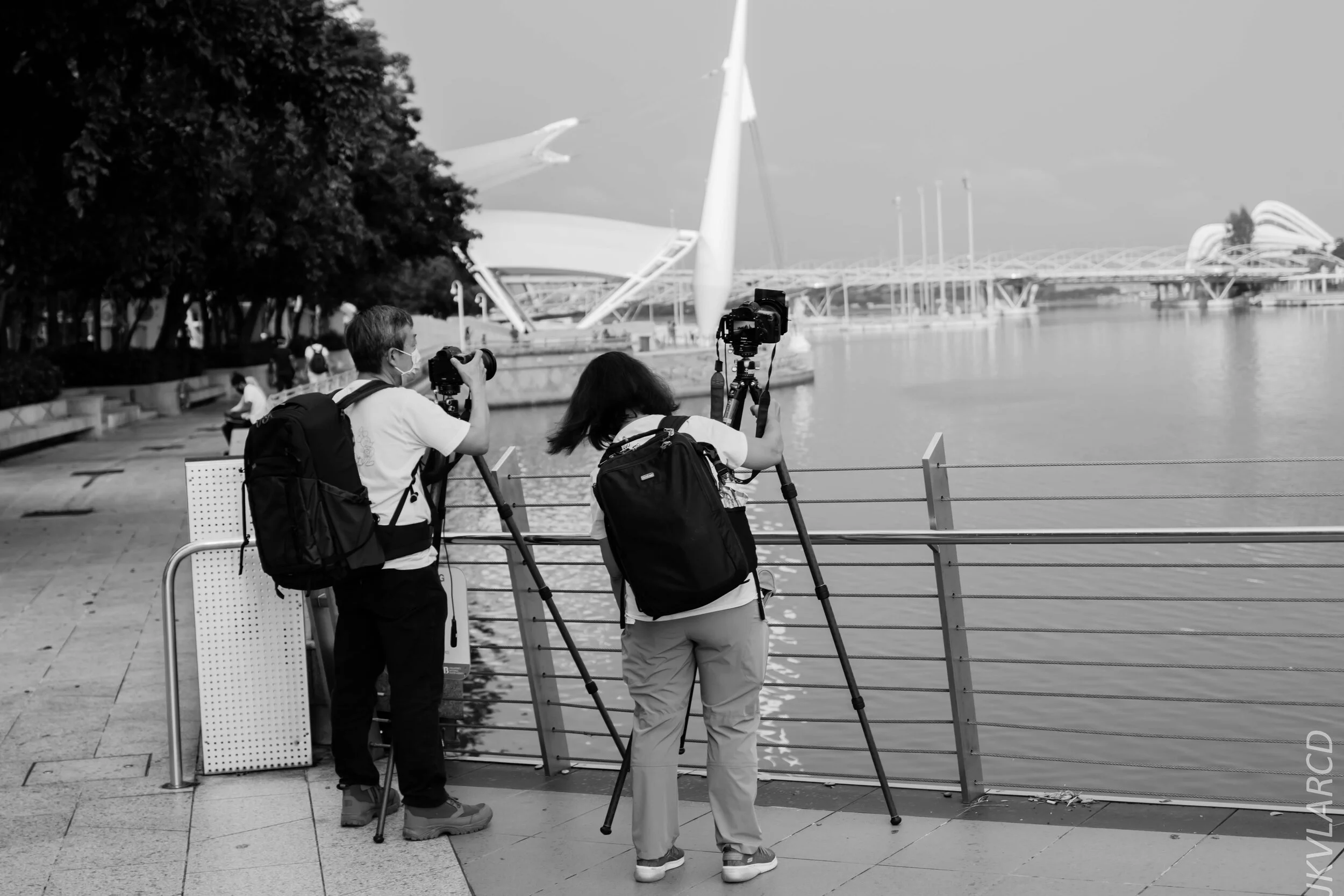 EOS 7D Mark II_2020_06_20_0795.jpg