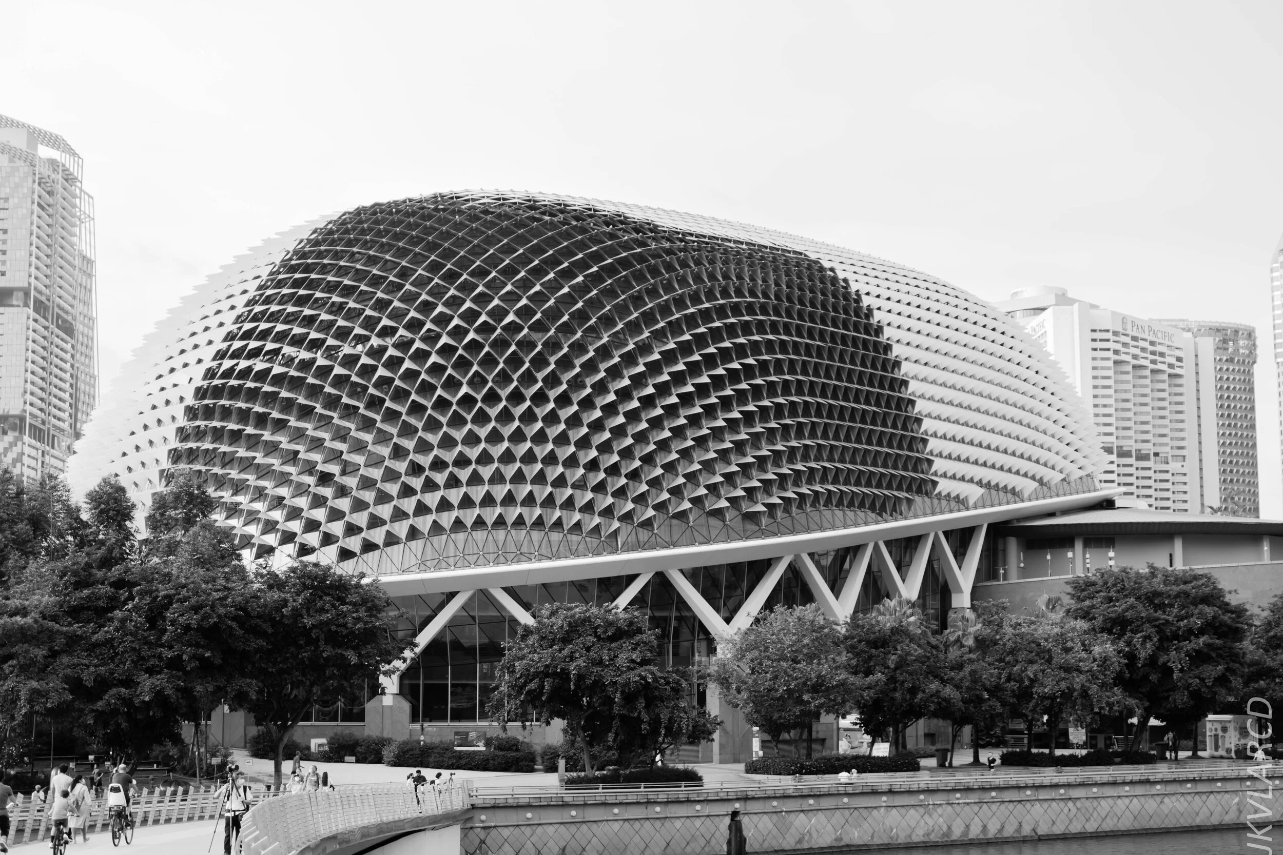 EOS 7D Mark II_2020_06_20_0798.jpg