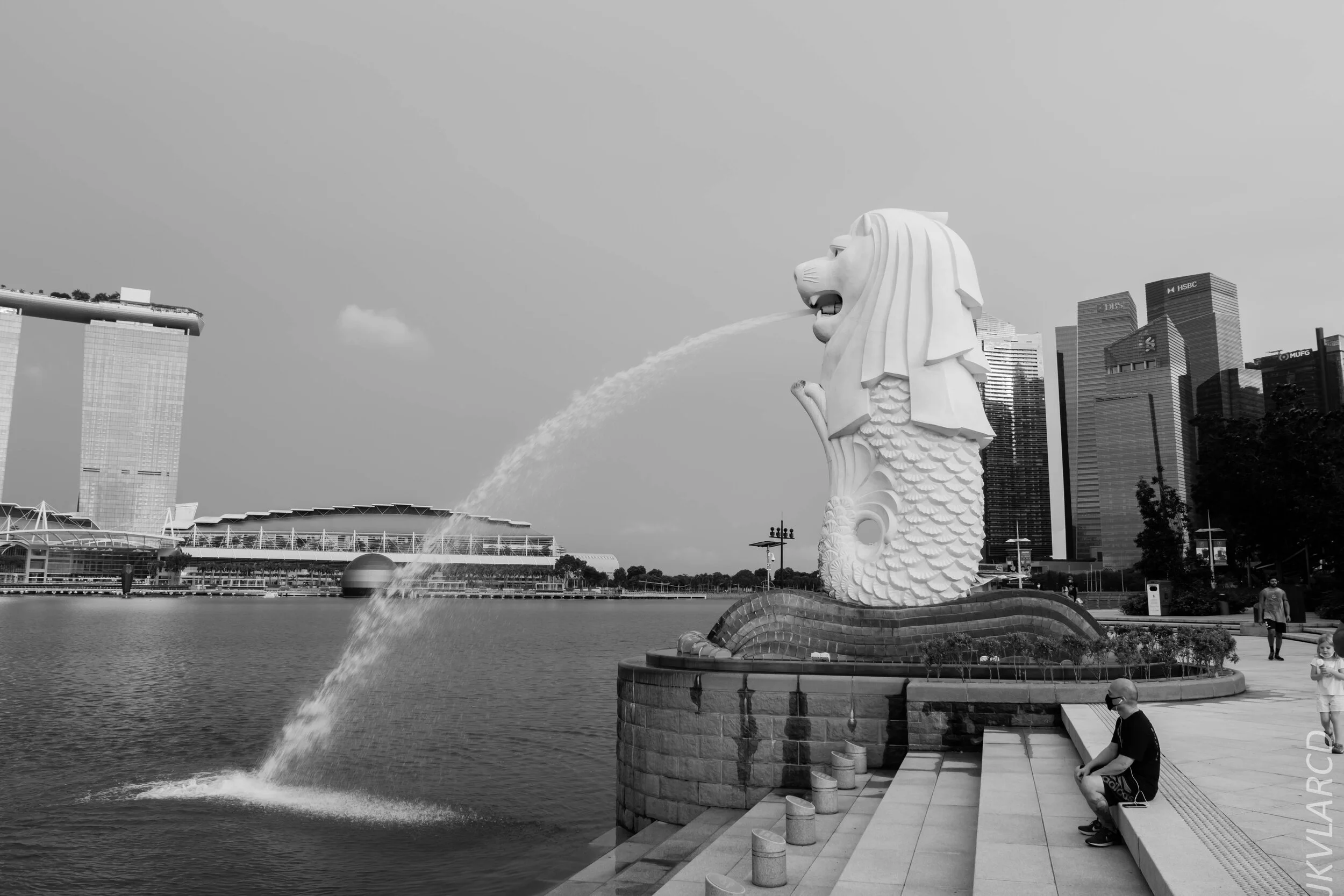 EOS 7D Mark II_2020_06_20_0803.jpg