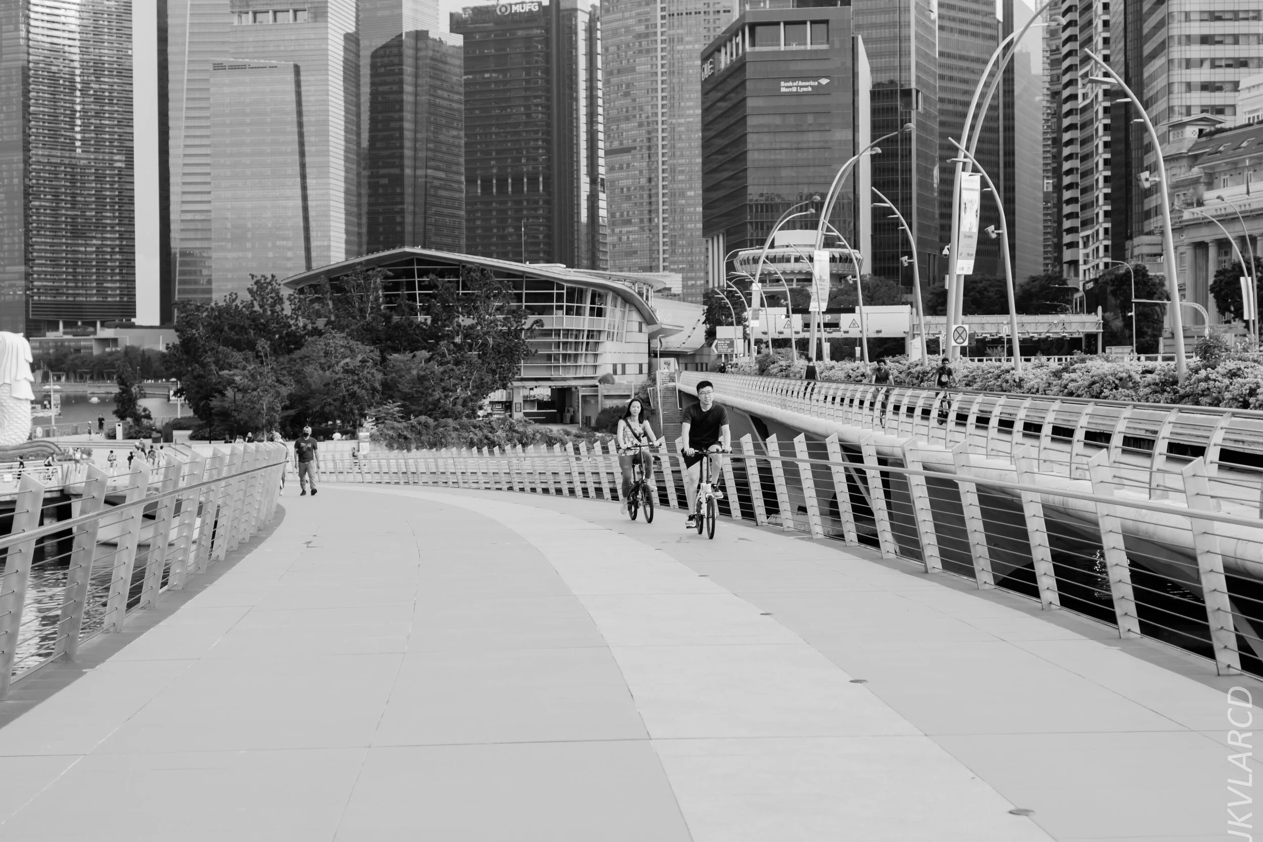 EOS 7D Mark II_2020_06_20_0802.jpg