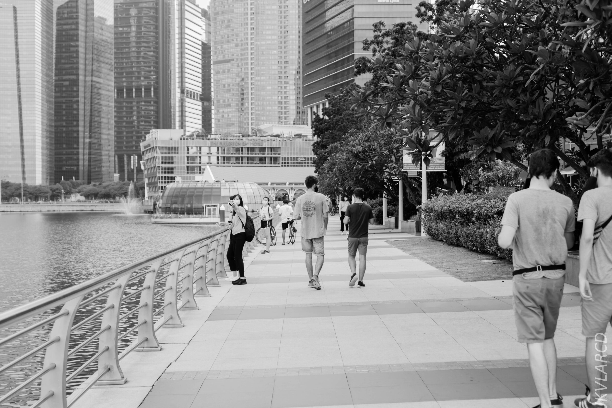 EOS 7D Mark II_2020_06_20_0816.jpg