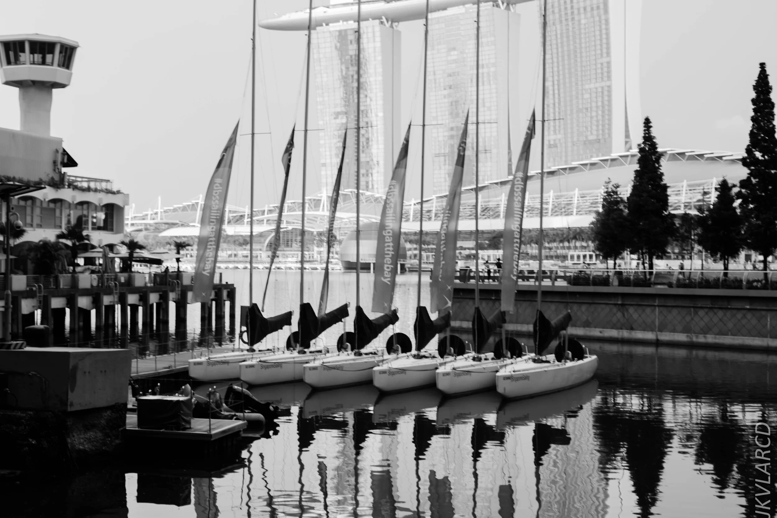 EOS 7D Mark II_2020_06_20_0821.jpg