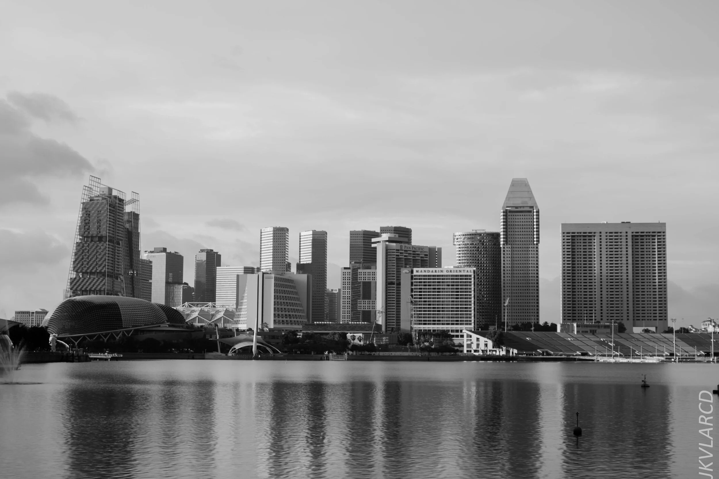 EOS 7D Mark II_2020_06_20_0826.jpg