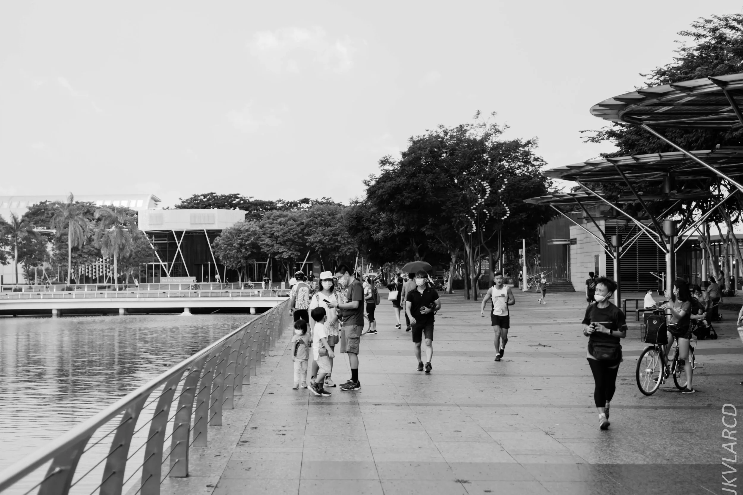 EOS 7D Mark II_2020_06_20_0843.jpg