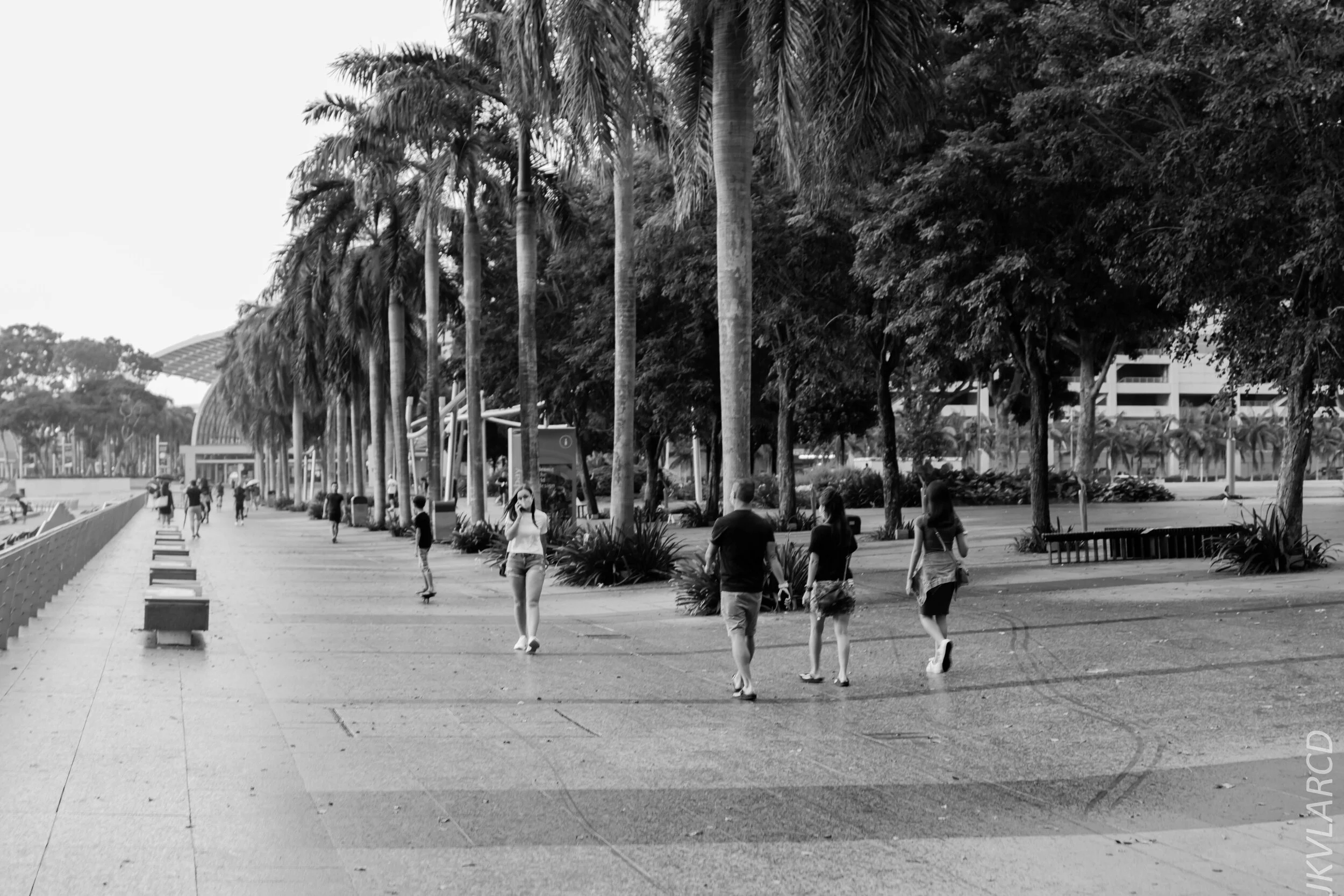 EOS 7D Mark II_2020_06_20_0849.jpg