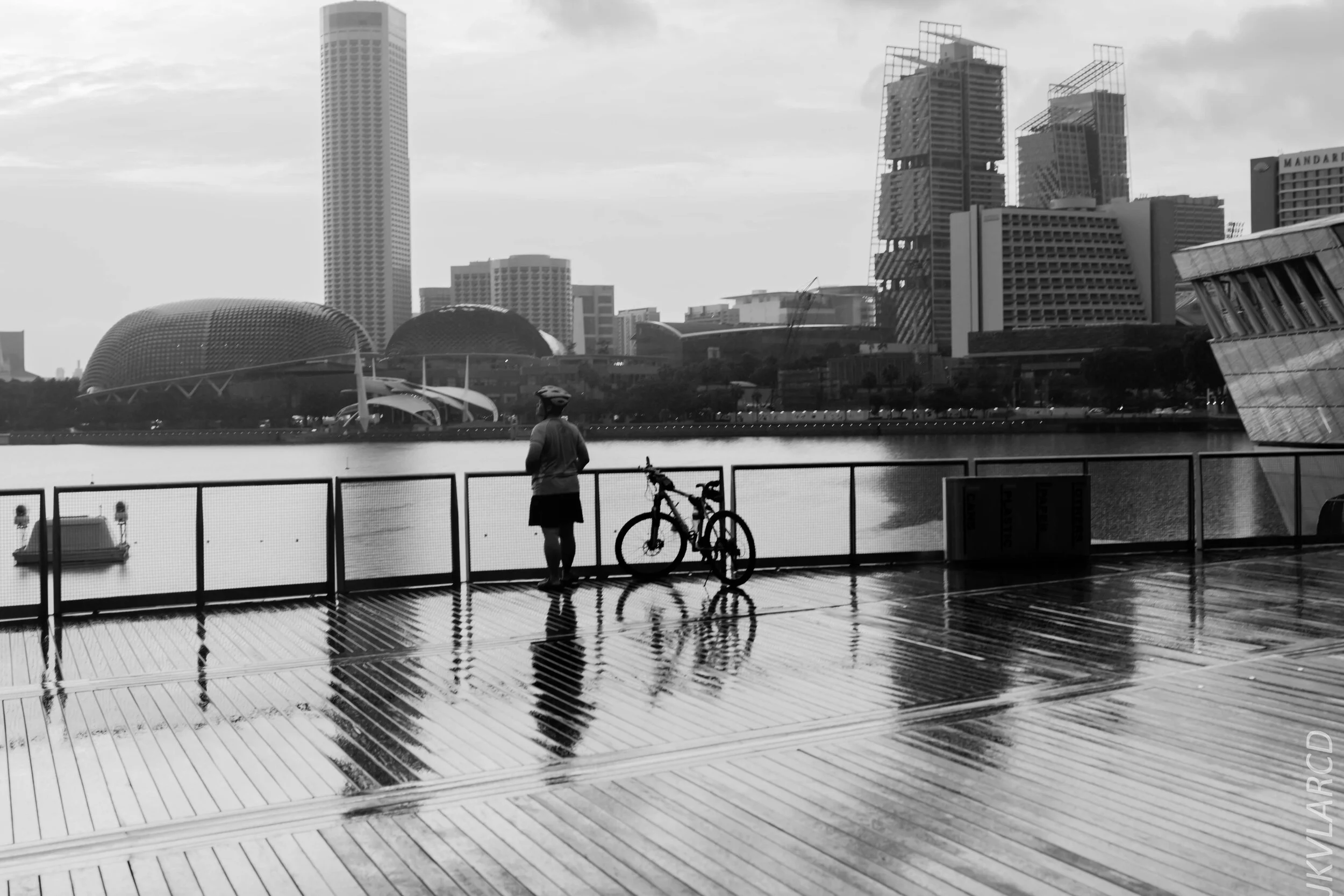 EOS 7D Mark II_2020_06_20_0870.jpg