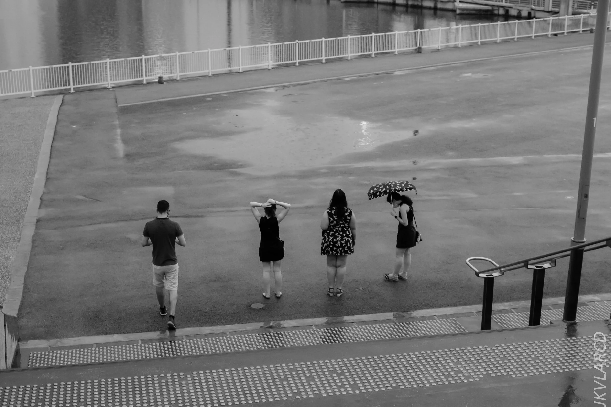 EOS 7D Mark II_2020_06_20_0899.jpg