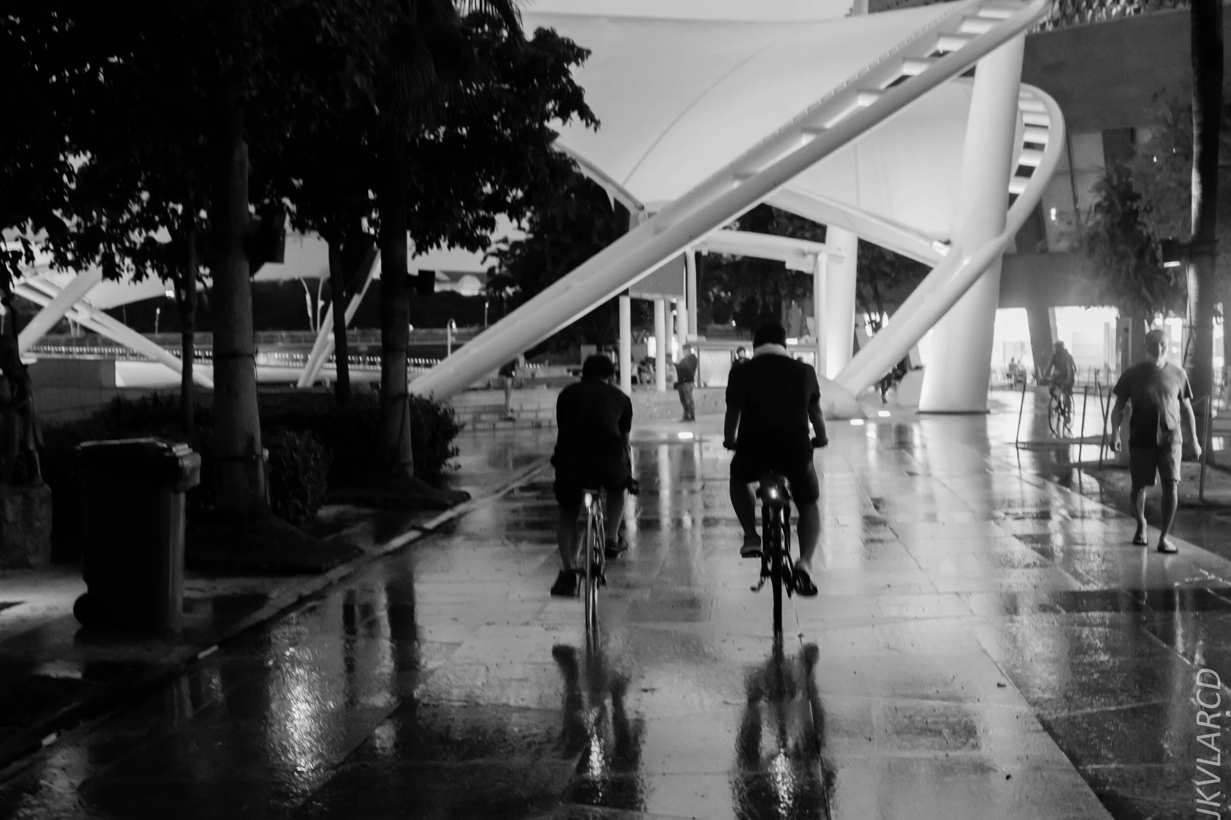 EOS 7D Mark II_2020_06_20_0907.jpg