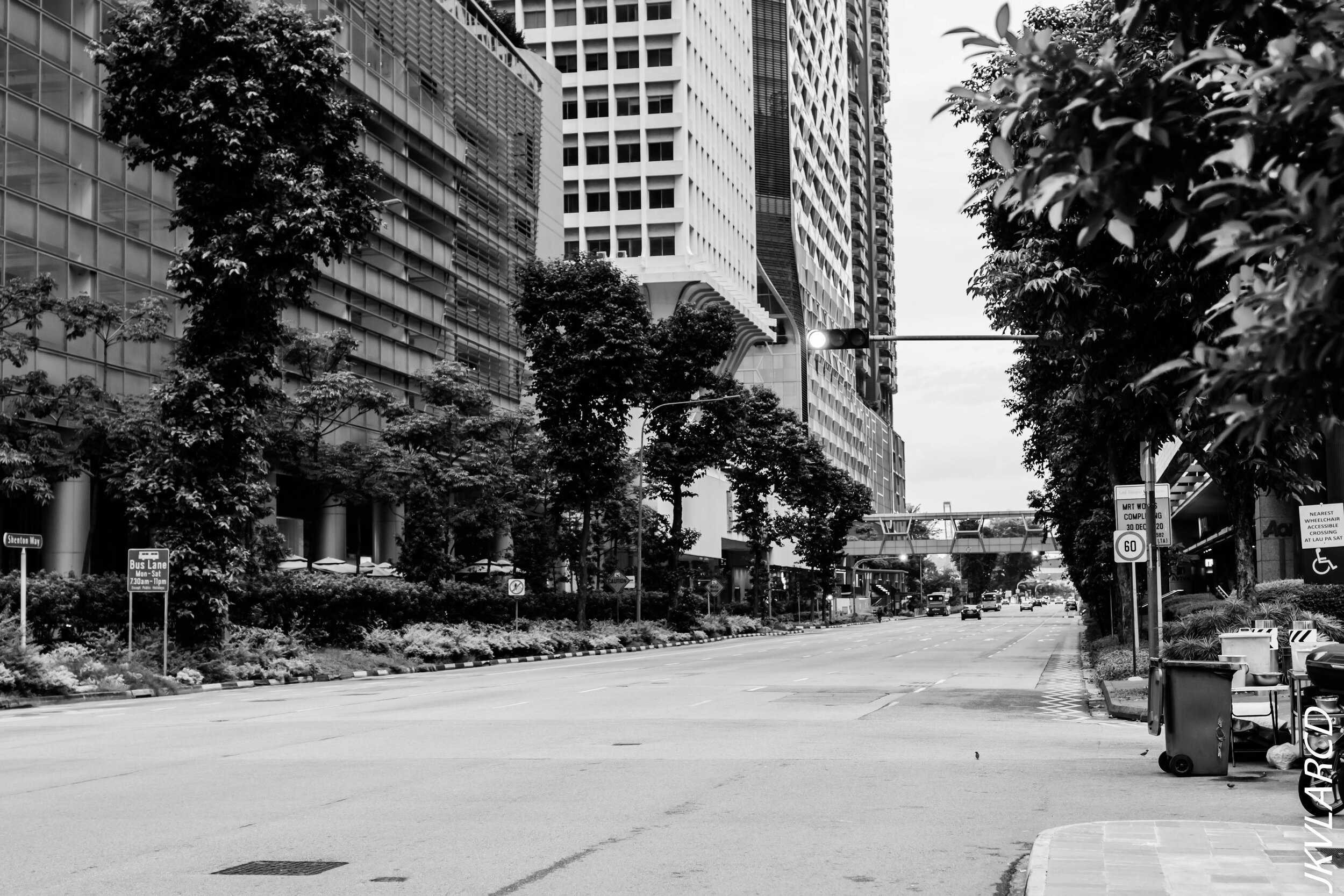 EOS 7D Mark II_2020_07_11_0989.jpg