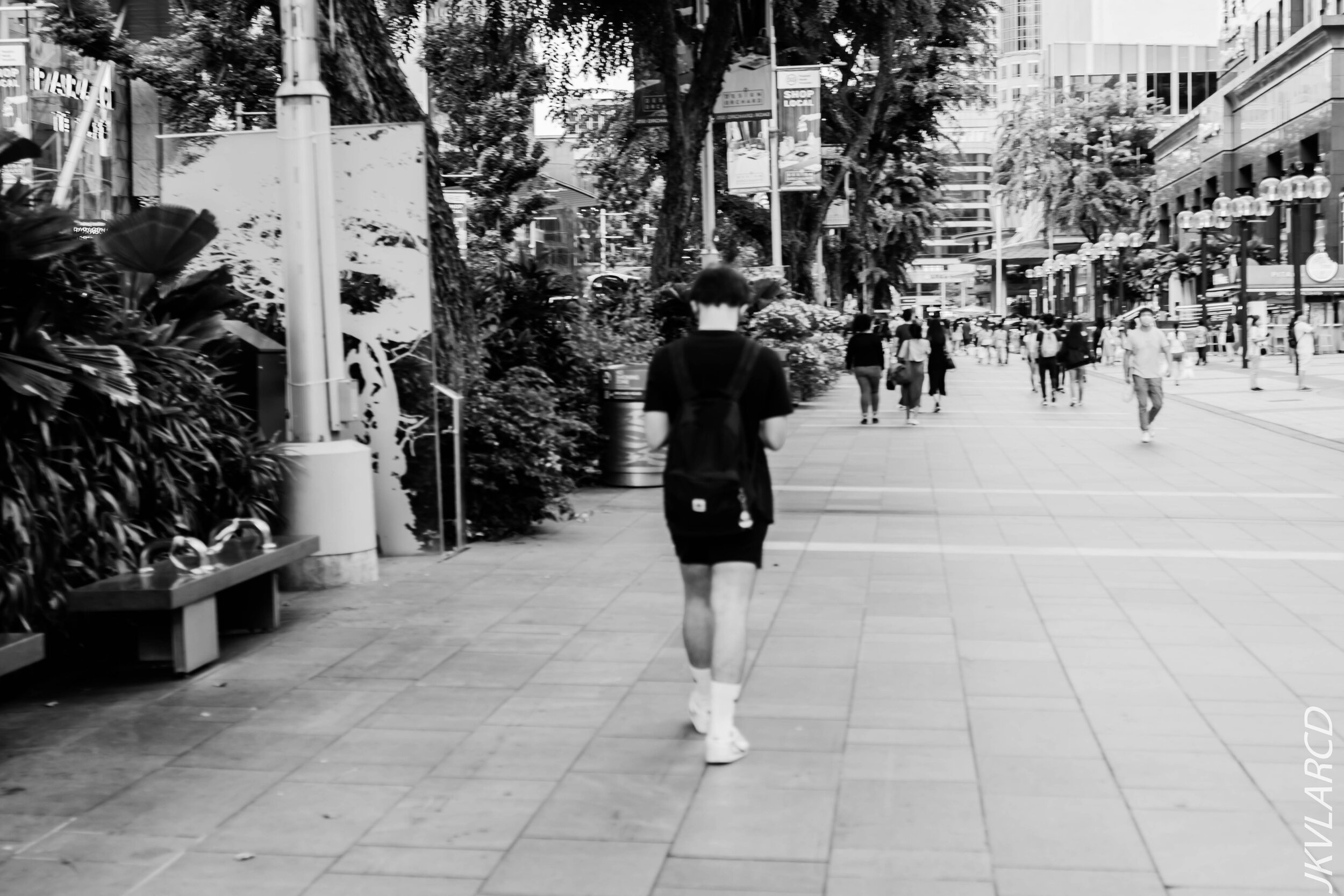 EOS 7D Mark II_2020_07_18_1045.jpg