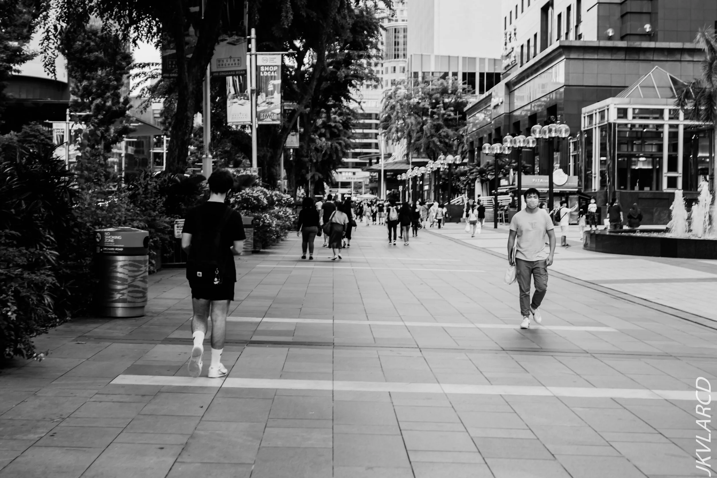 EOS 7D Mark II_2020_07_18_1046.jpg