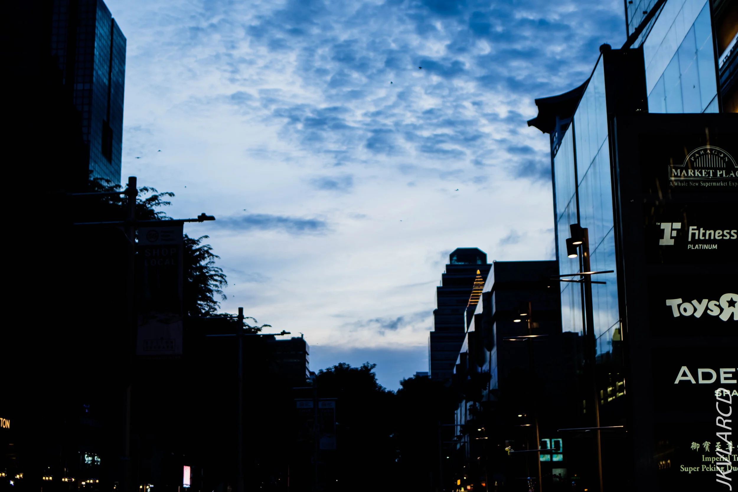 EOS 7D Mark II_2020_07_18_1094.jpg