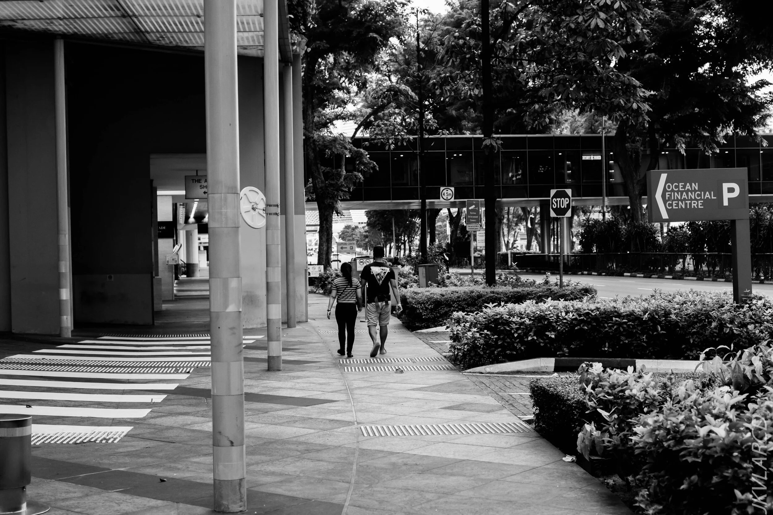 EOS 7D Mark II_2020_08_10_0007.jpg