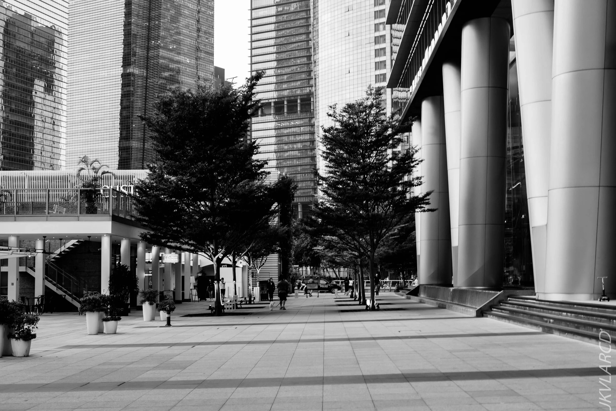 EOS 7D Mark II_2020_08_10_0008.jpg