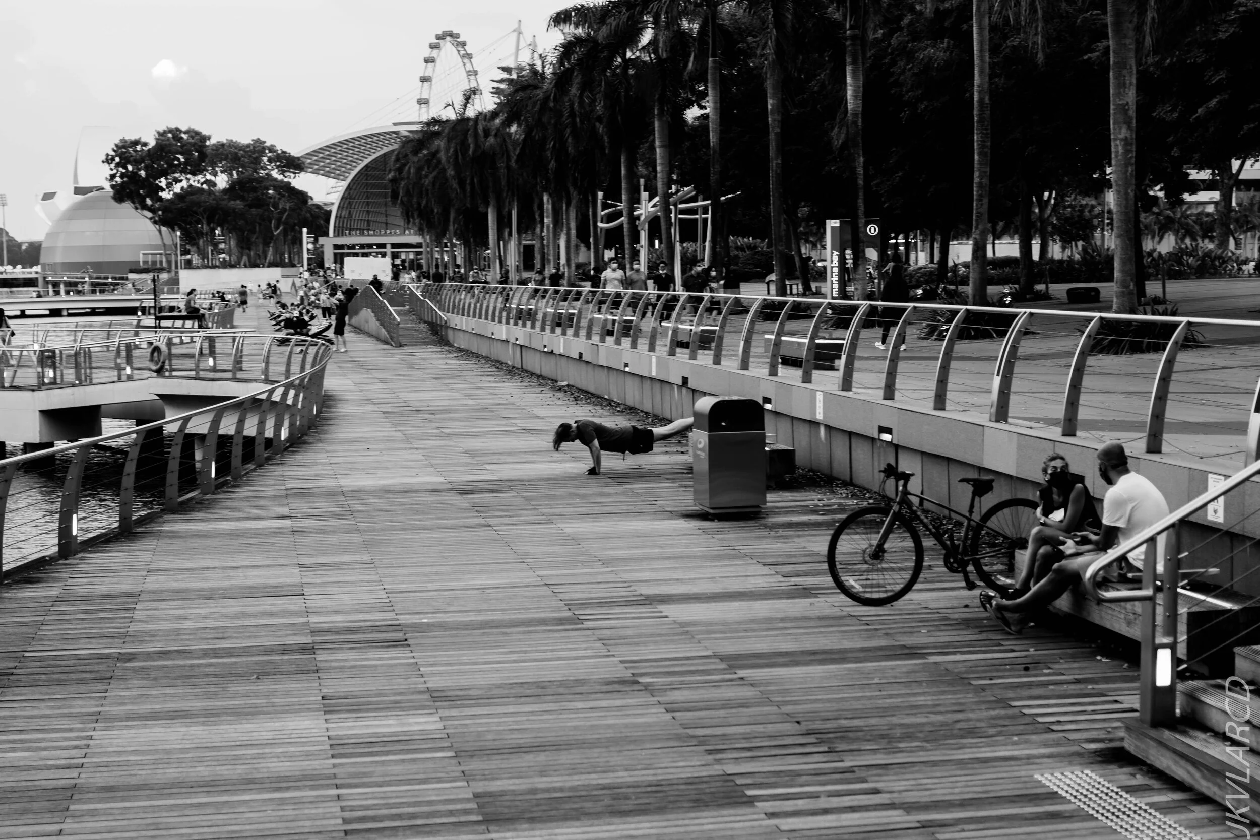 EOS 7D Mark II_2020_08_10_0021.jpg