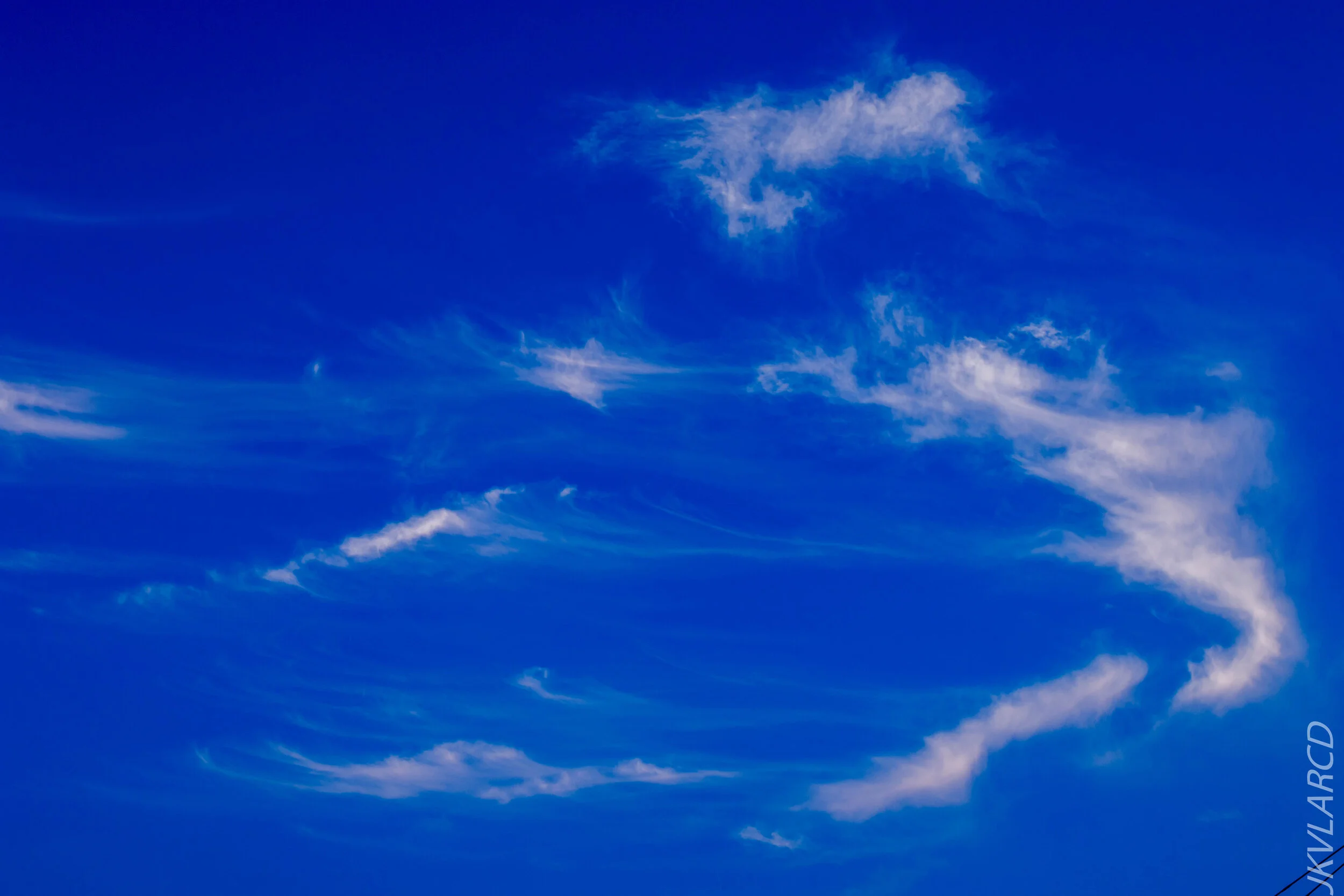 EOS 7D Mark II_2020_08_10_0024.jpg