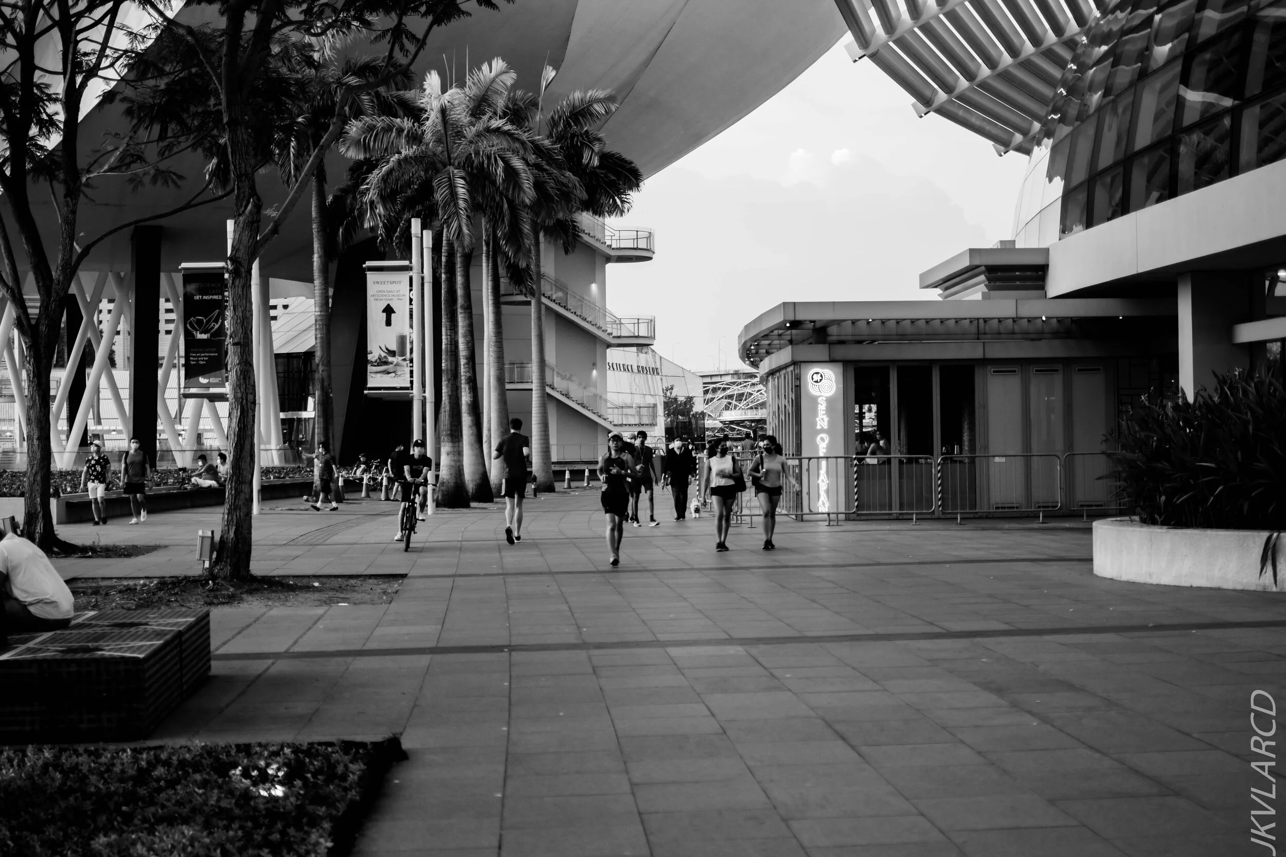 EOS 7D Mark II_2020_08_10_0029.jpg