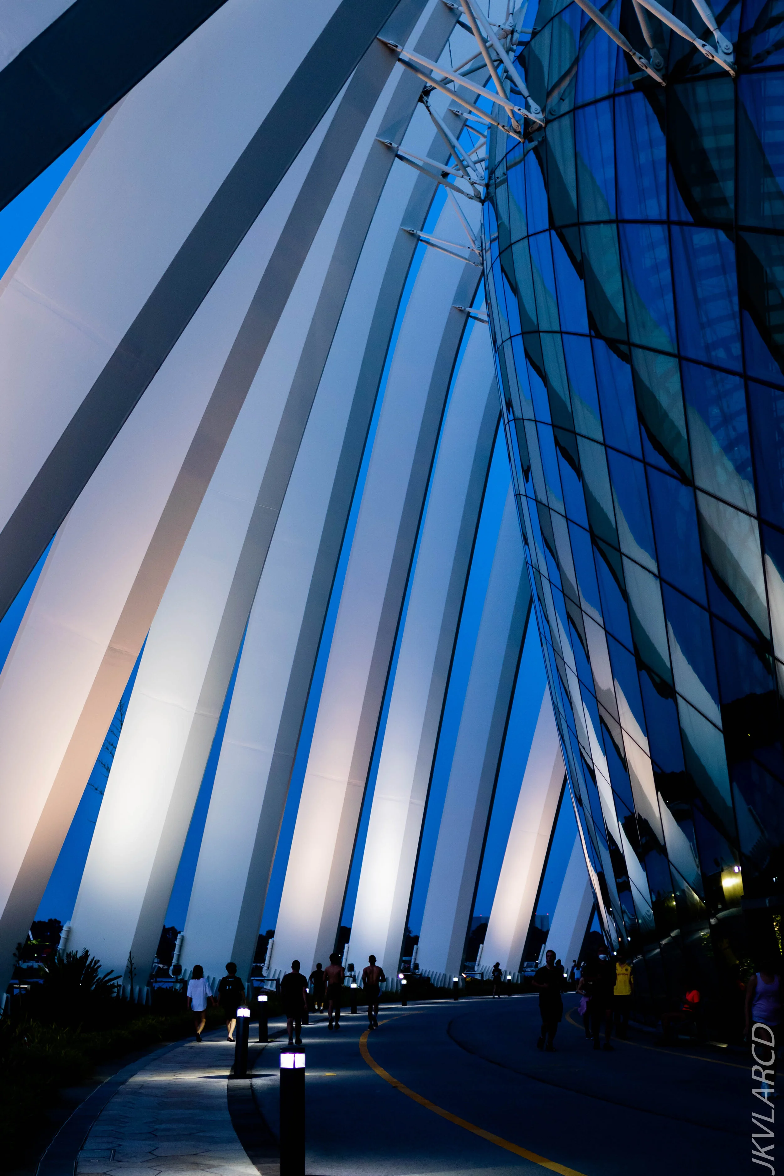 EOS 7D Mark II_2020_08_10_0045.jpg